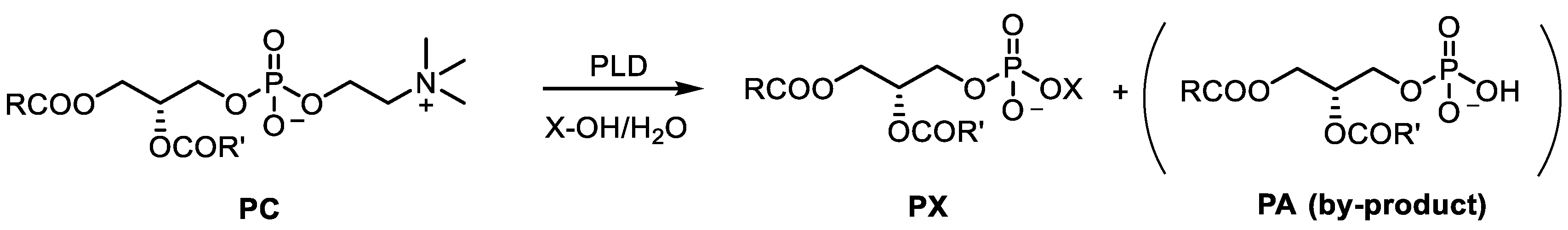 Catalysts 10 00997 sch001 Catalysts 10 00997 sch001