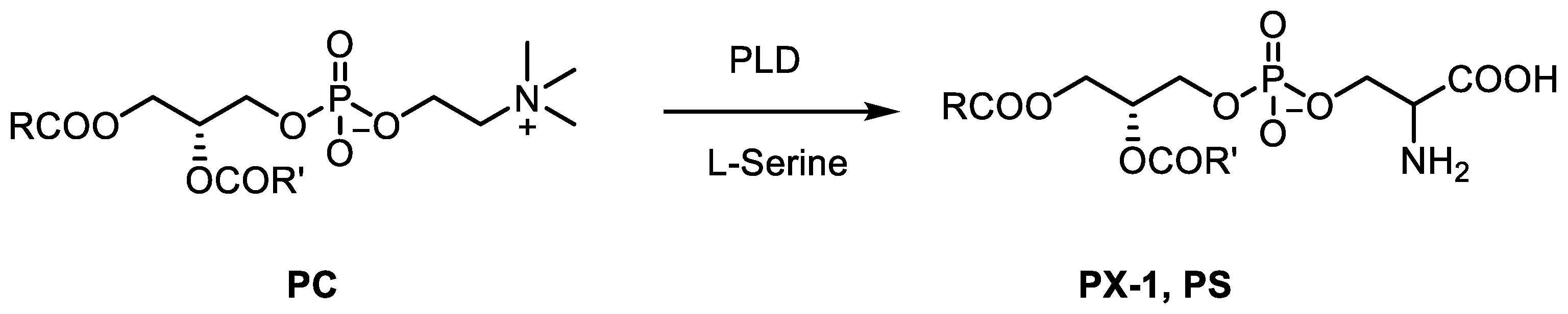 Catalysts 10 00997 sch002 Catalysts 10 00997 sch002