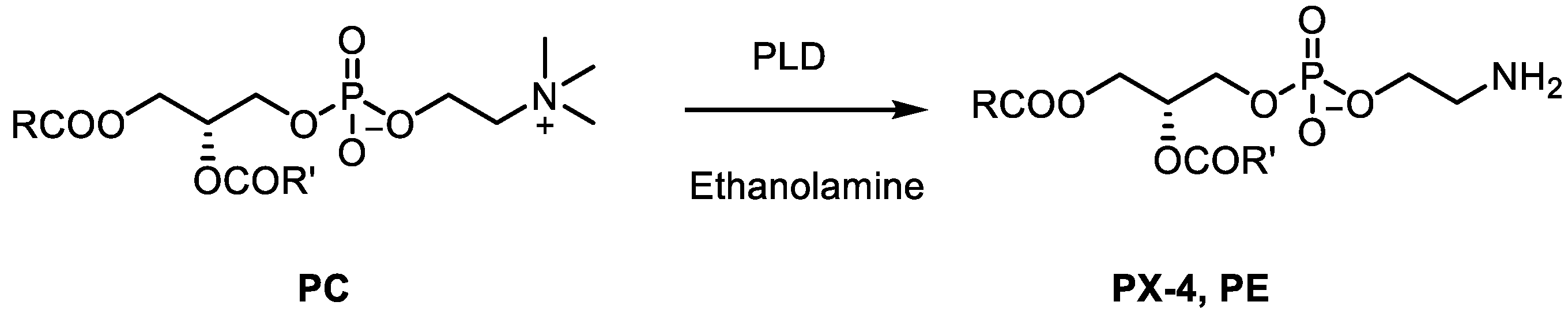 Catalysts 10 00997 sch004 Catalysts 10 00997 sch004