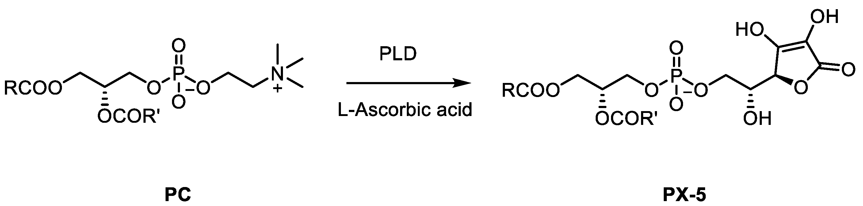 Catalysts 10 00997 sch005 Catalysts 10 00997 sch005