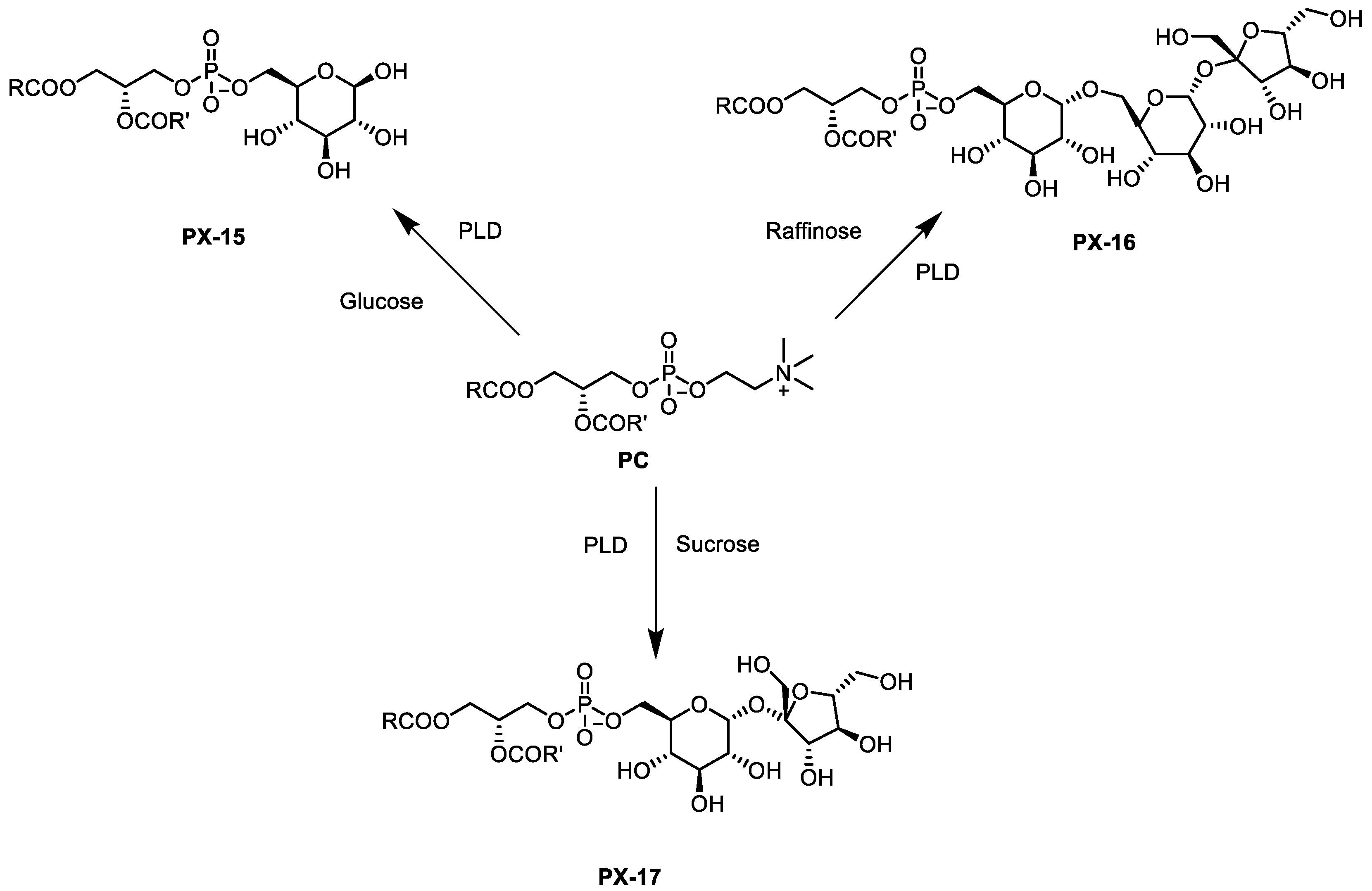 Catalysts 10 00997 sch009 Catalysts 10 00997 sch009