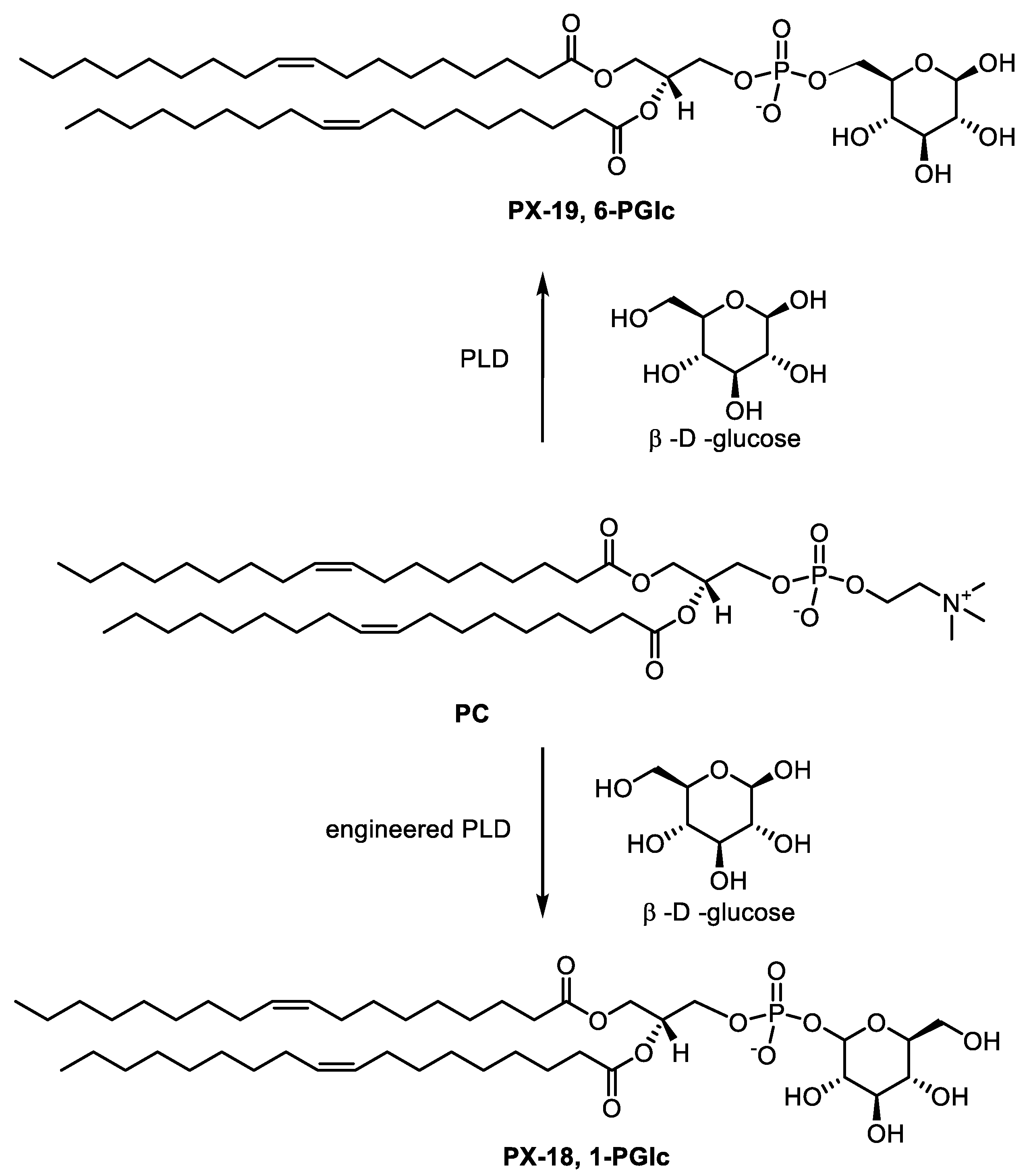 Catalysts 10 00997 sch010 Catalysts 10 00997 sch010