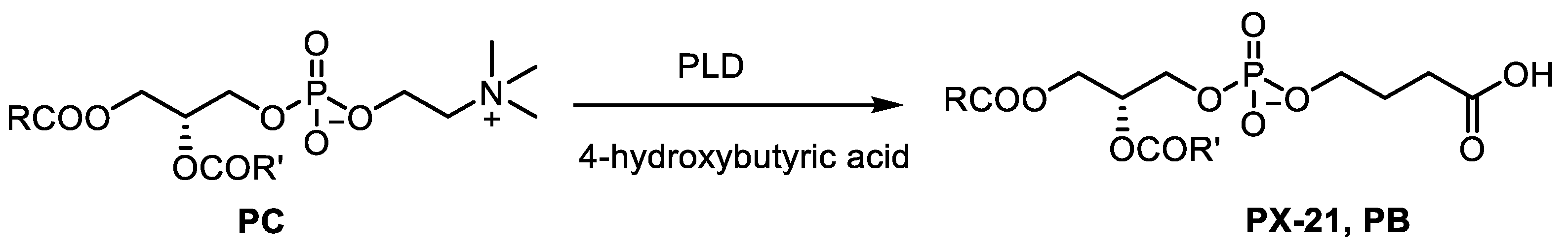 Catalysts 10 00997 sch012 Catalysts 10 00997 sch012