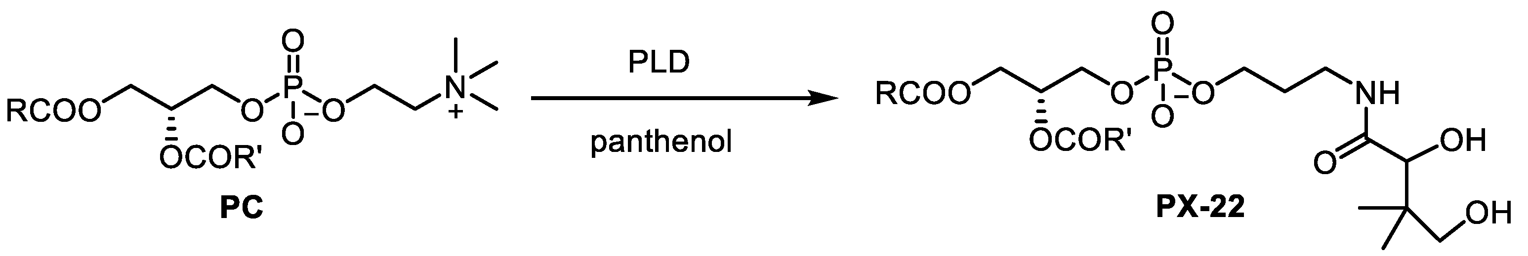 Catalysts 10 00997 sch013 Catalysts 10 00997 sch013