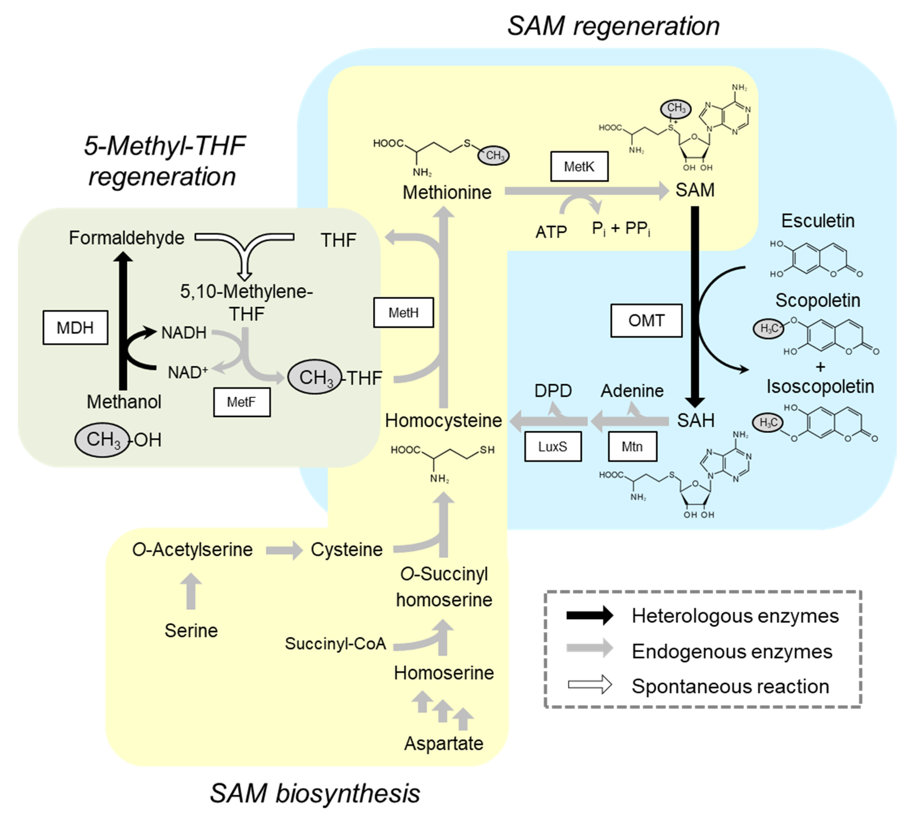 Catalysts 10 01001 g001