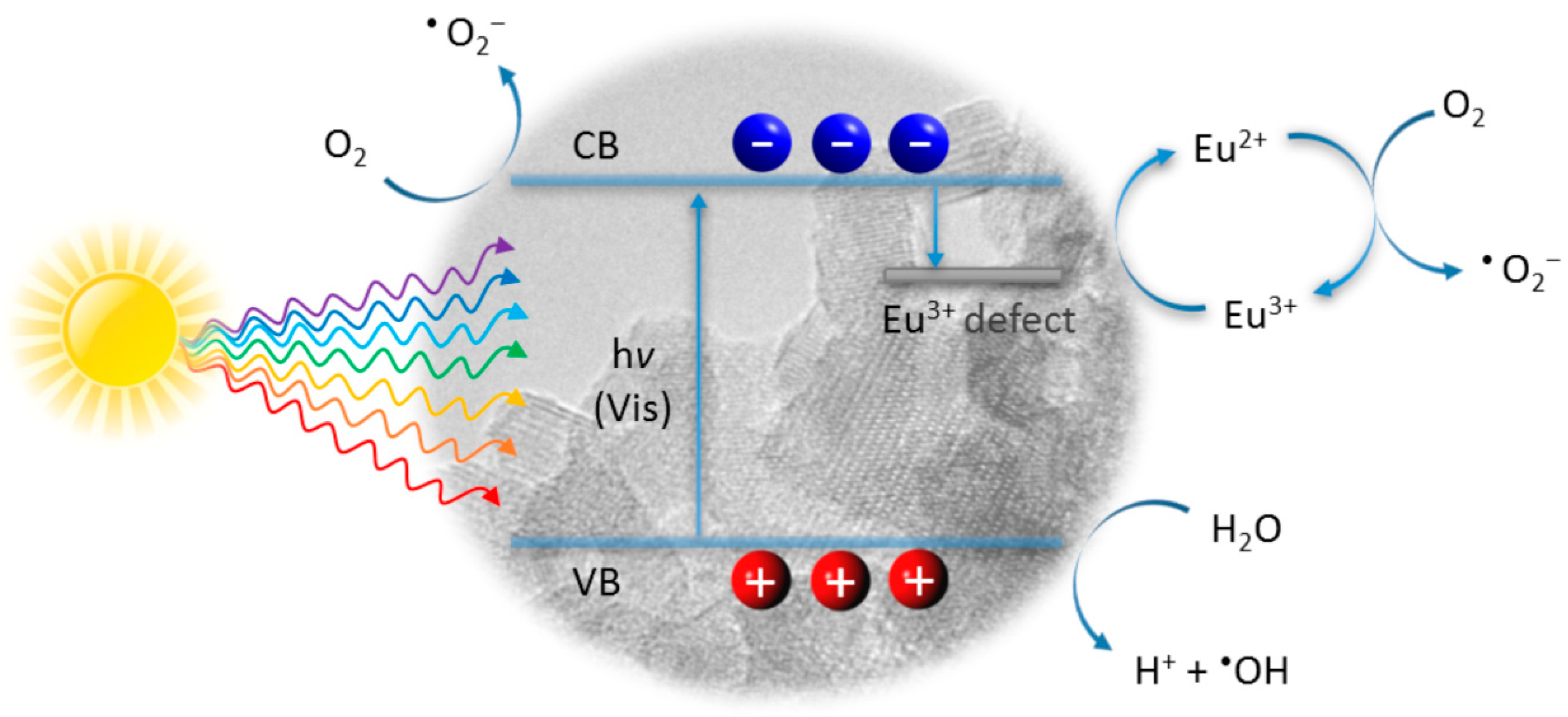 Catalysts 10 01003 sch001 Catalysts 10 01003 sch001