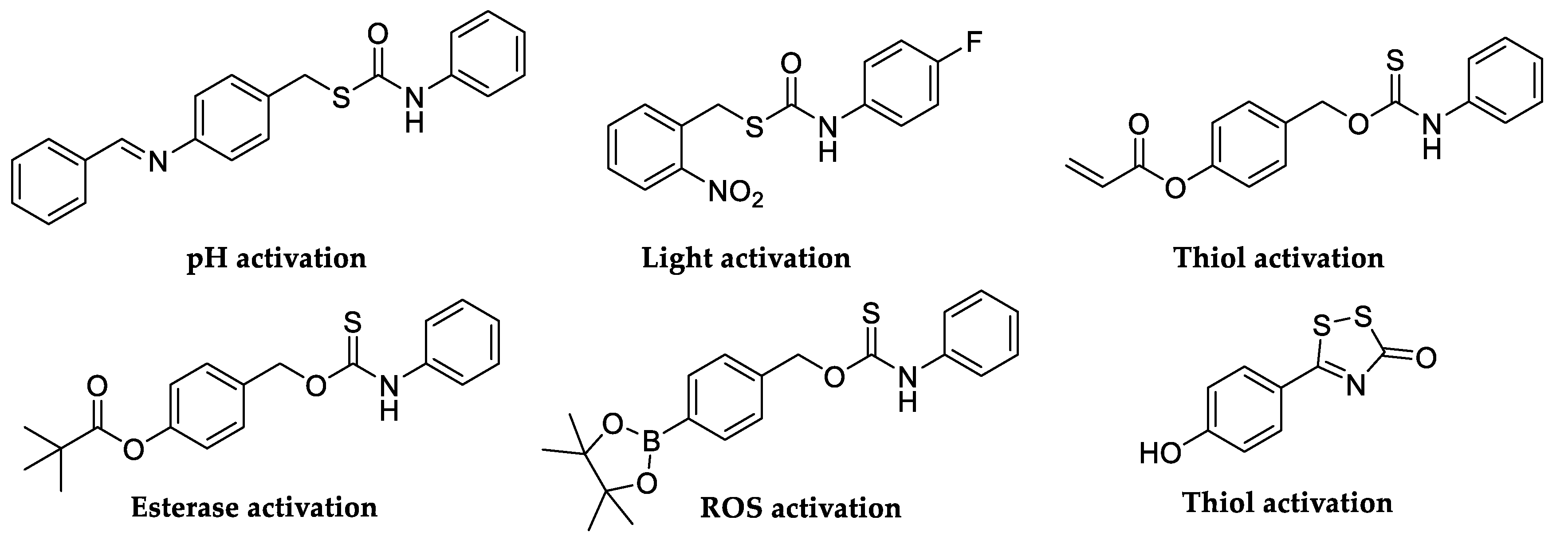 Catalysts 10 01008 g003 Catalysts 10 01008 g003