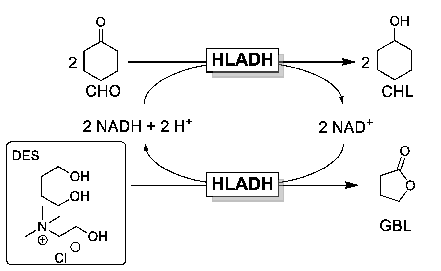 Catalysts 10 01013 sch001