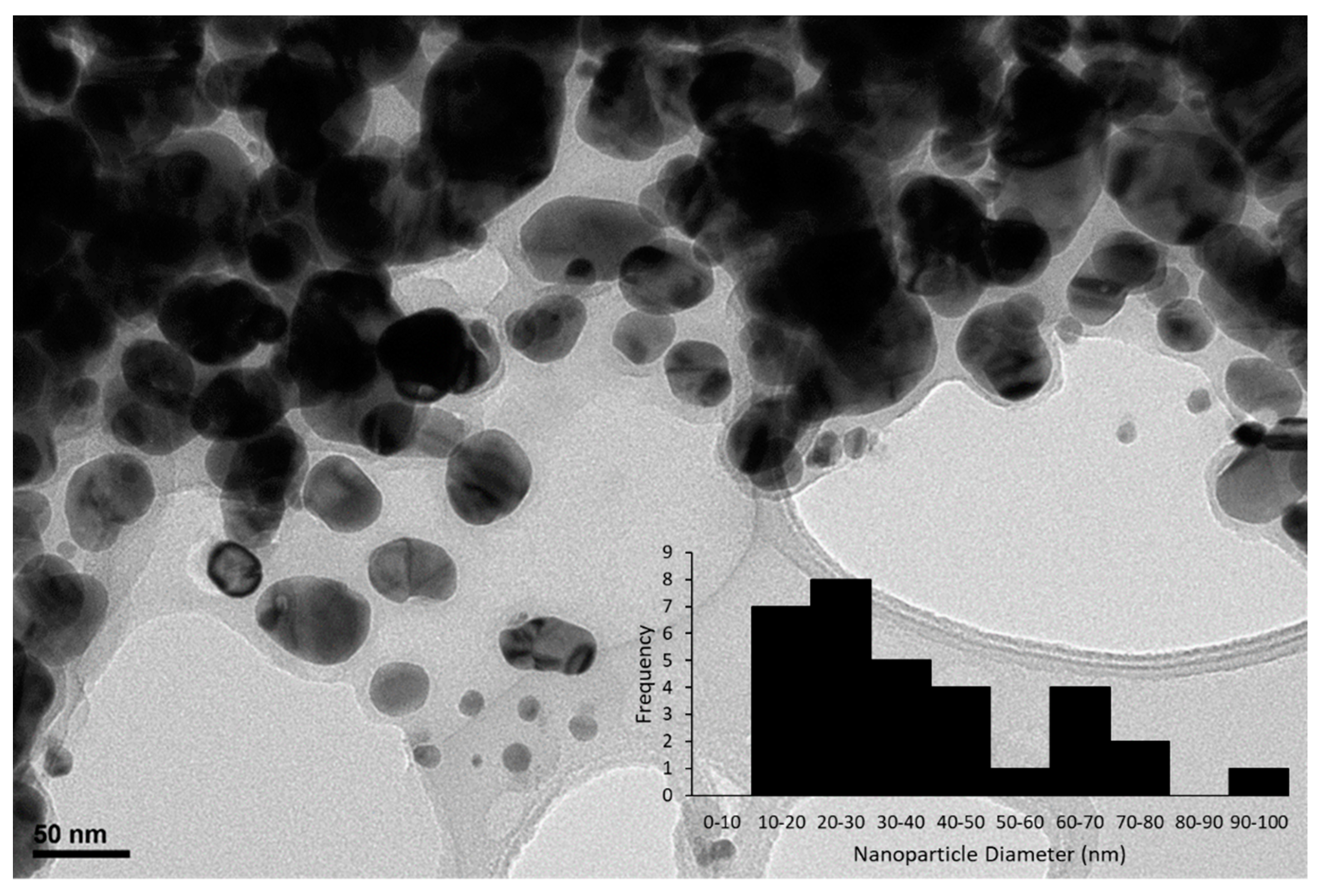 Catalysts 10 01014 g001