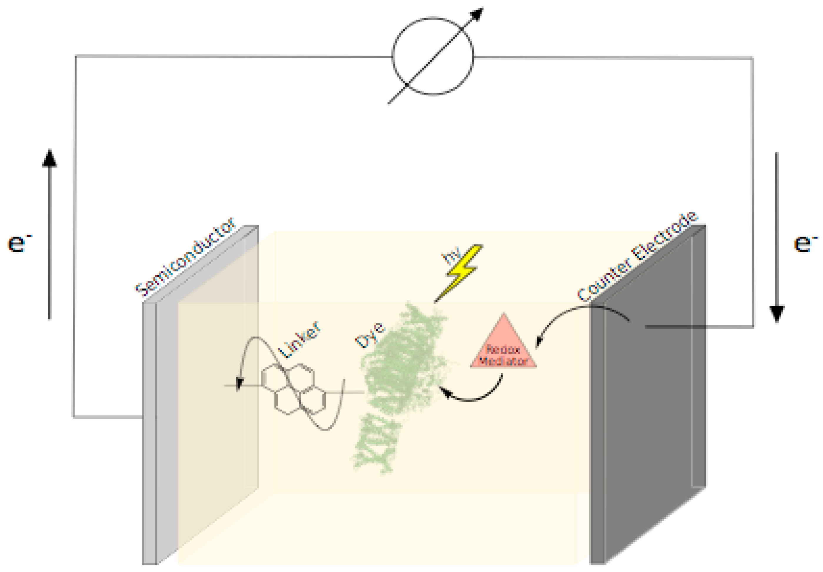 Catalysts 10 01016 g001 Catalysts 10 01016 g001