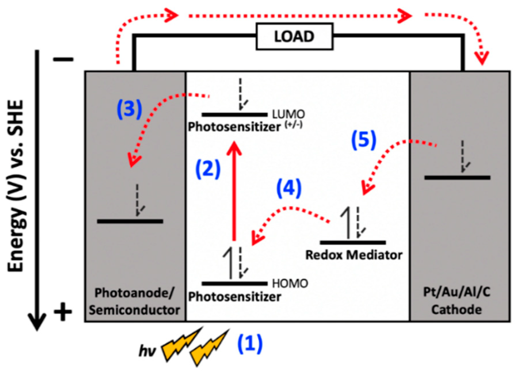 Catalysts 10 01016 g002 Catalysts 10 01016 g002