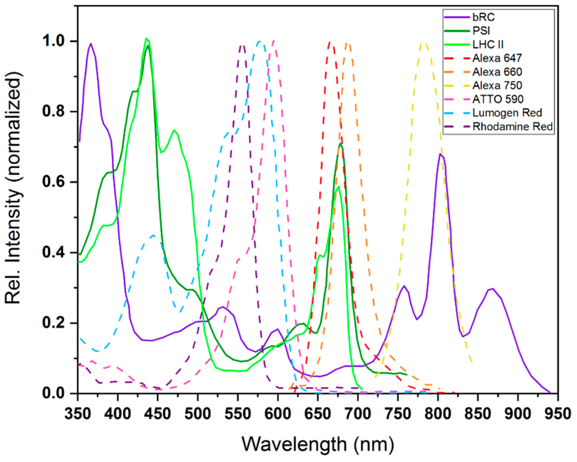 Catalysts 10 01016 g003 Catalysts 10 01016 g003