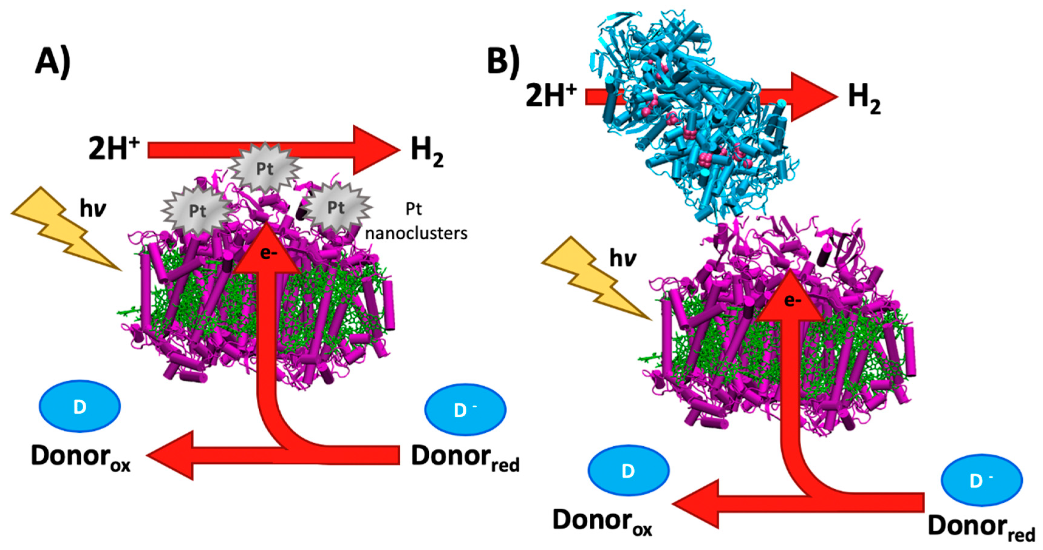 Catalysts 10 01016 g004 Catalysts 10 01016 g004