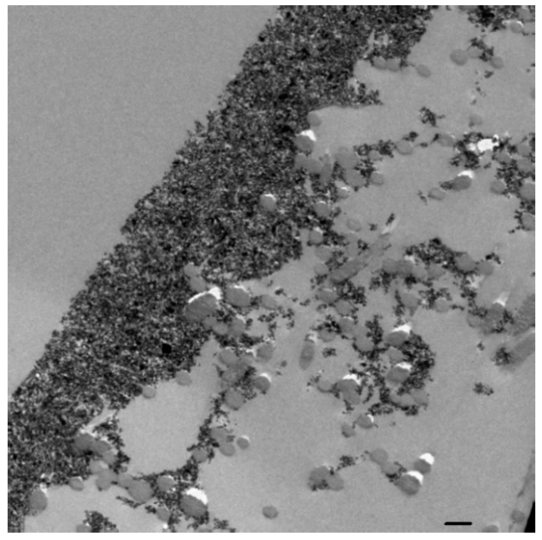 Catalysts 10 01017 g004 Catalysts 10 01017 g004