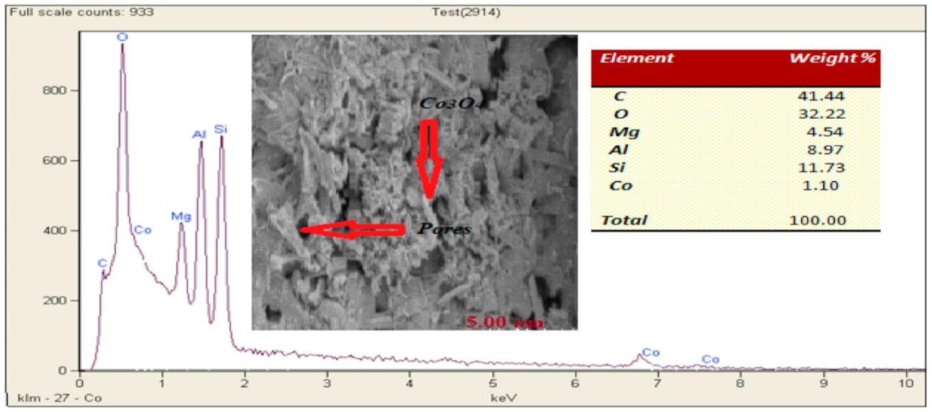 Catalysts 10 01018 g002 Catalysts 10 01018 g002