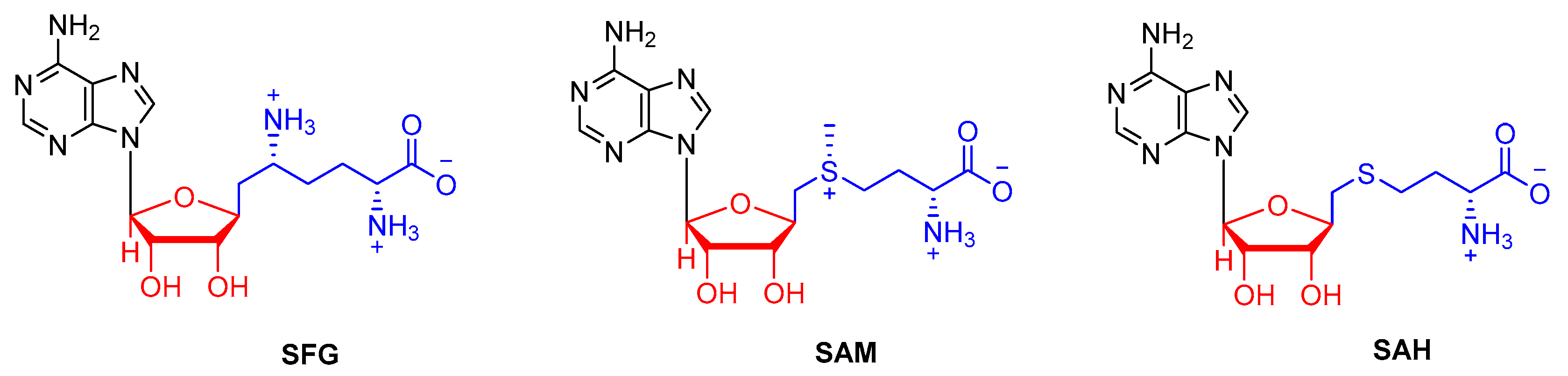 Catalysts 10 01023 g002