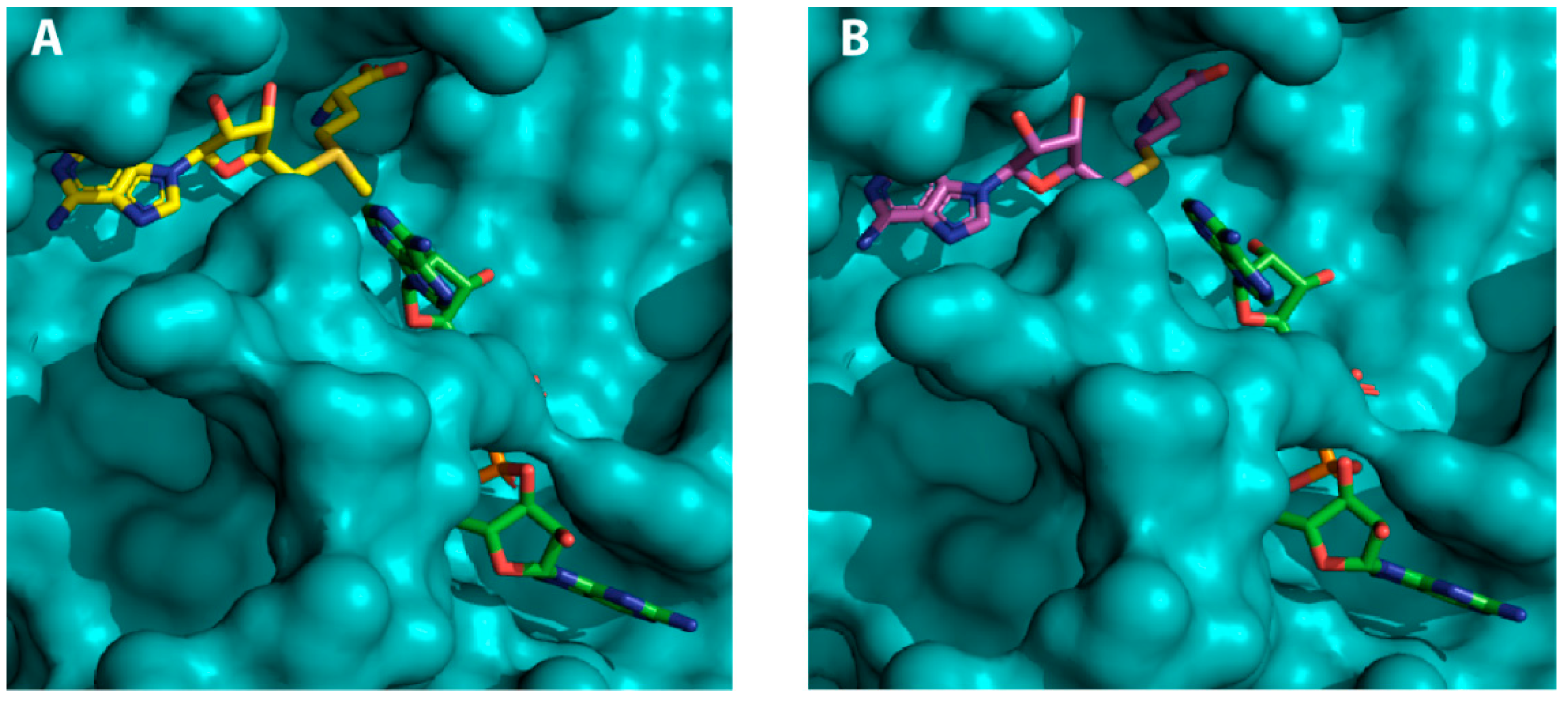 Catalysts 10 01023 g004