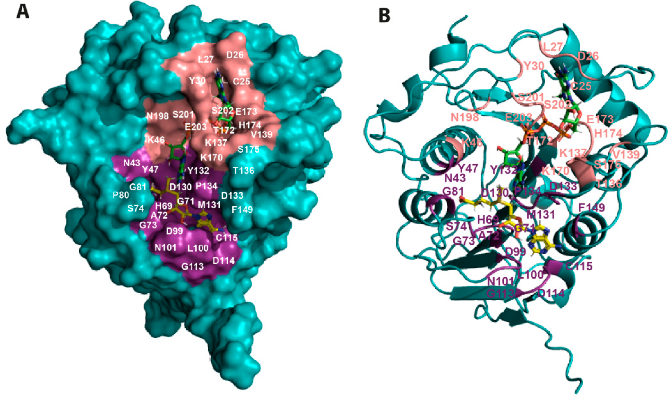 Catalysts 10 01023 g005