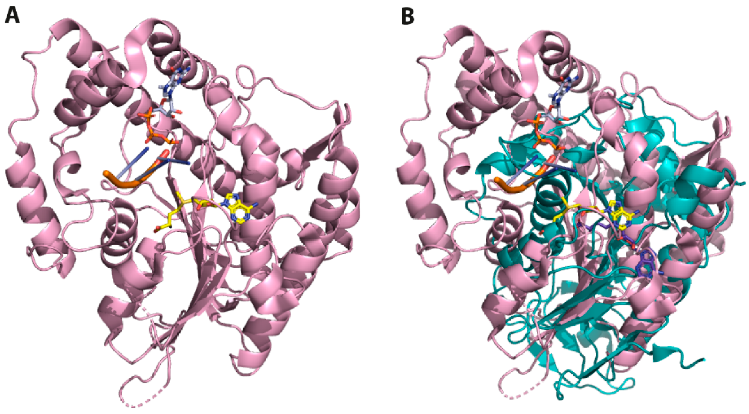 Catalysts 10 01023 g006