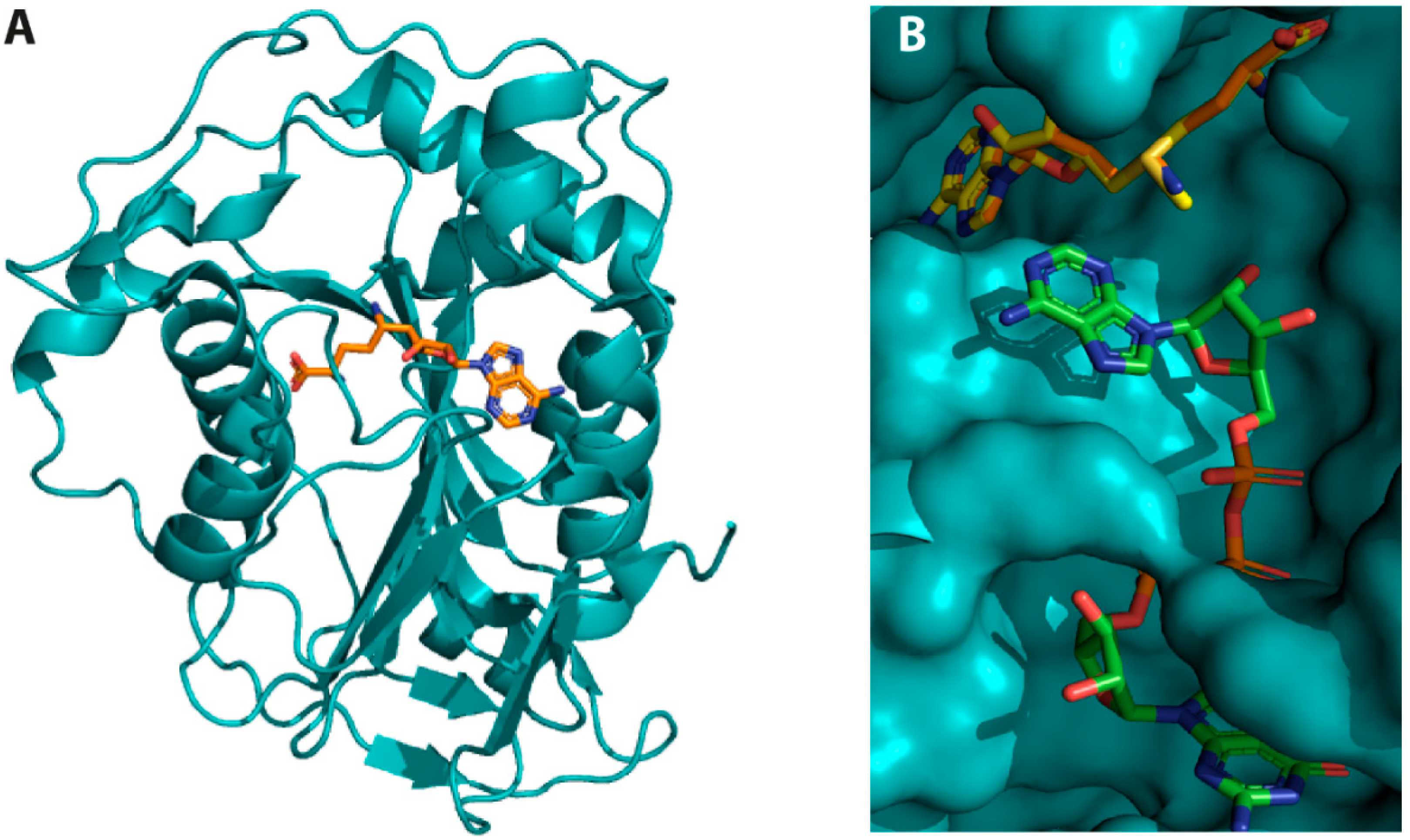 Catalysts 10 01023 g007