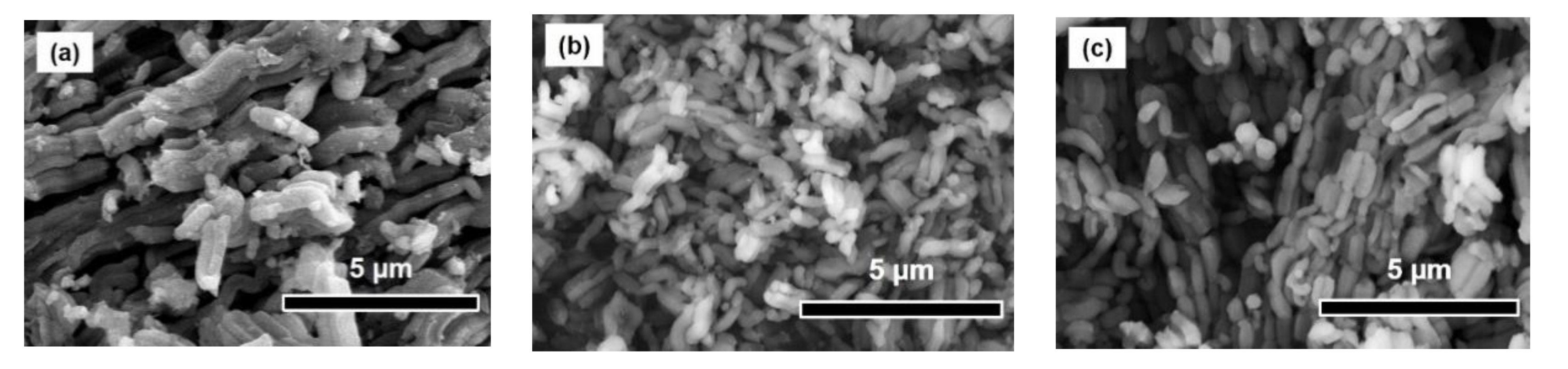 Catalysts 10 01031 g003