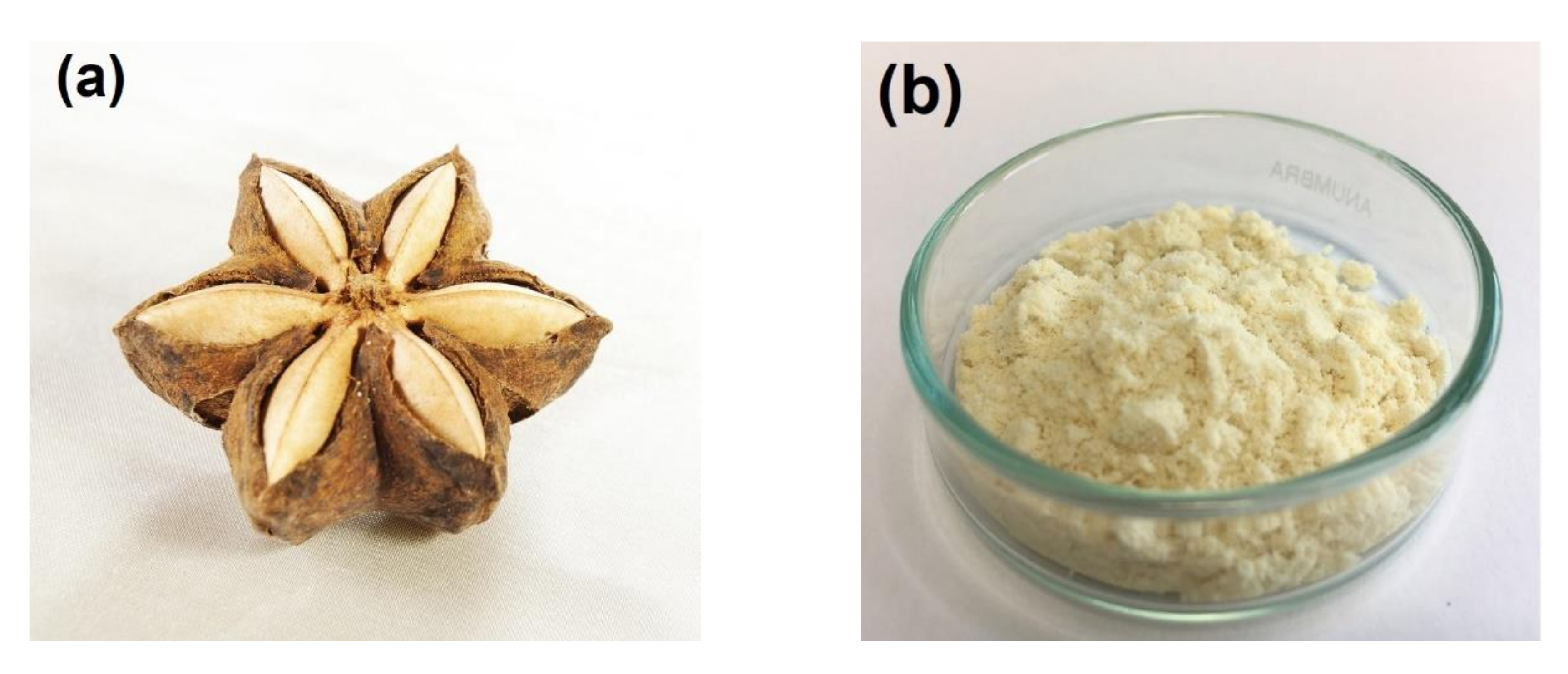 Catalysts 10 01031 g013