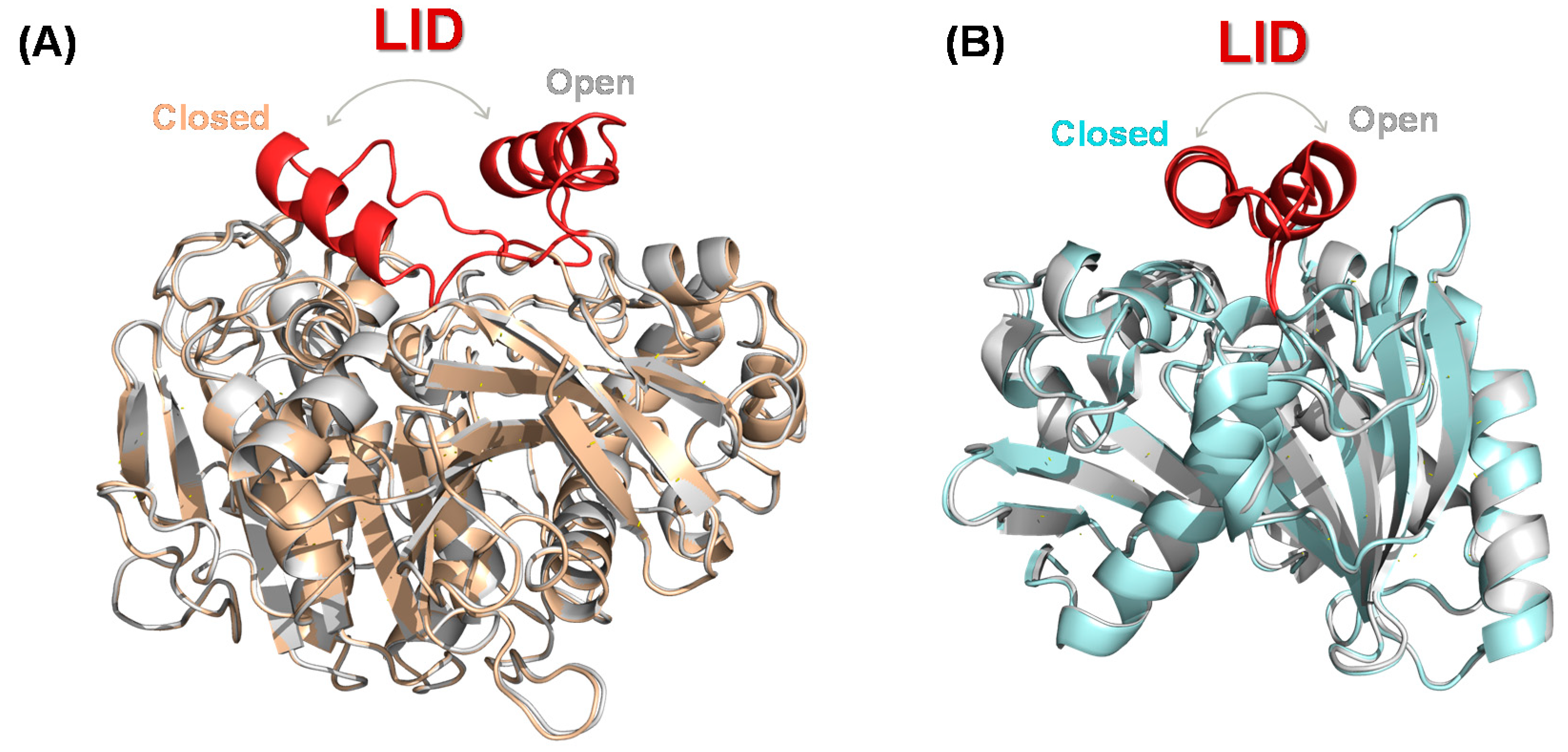 Catalysts 10 01032 g002 Catalysts 10 01032 g002