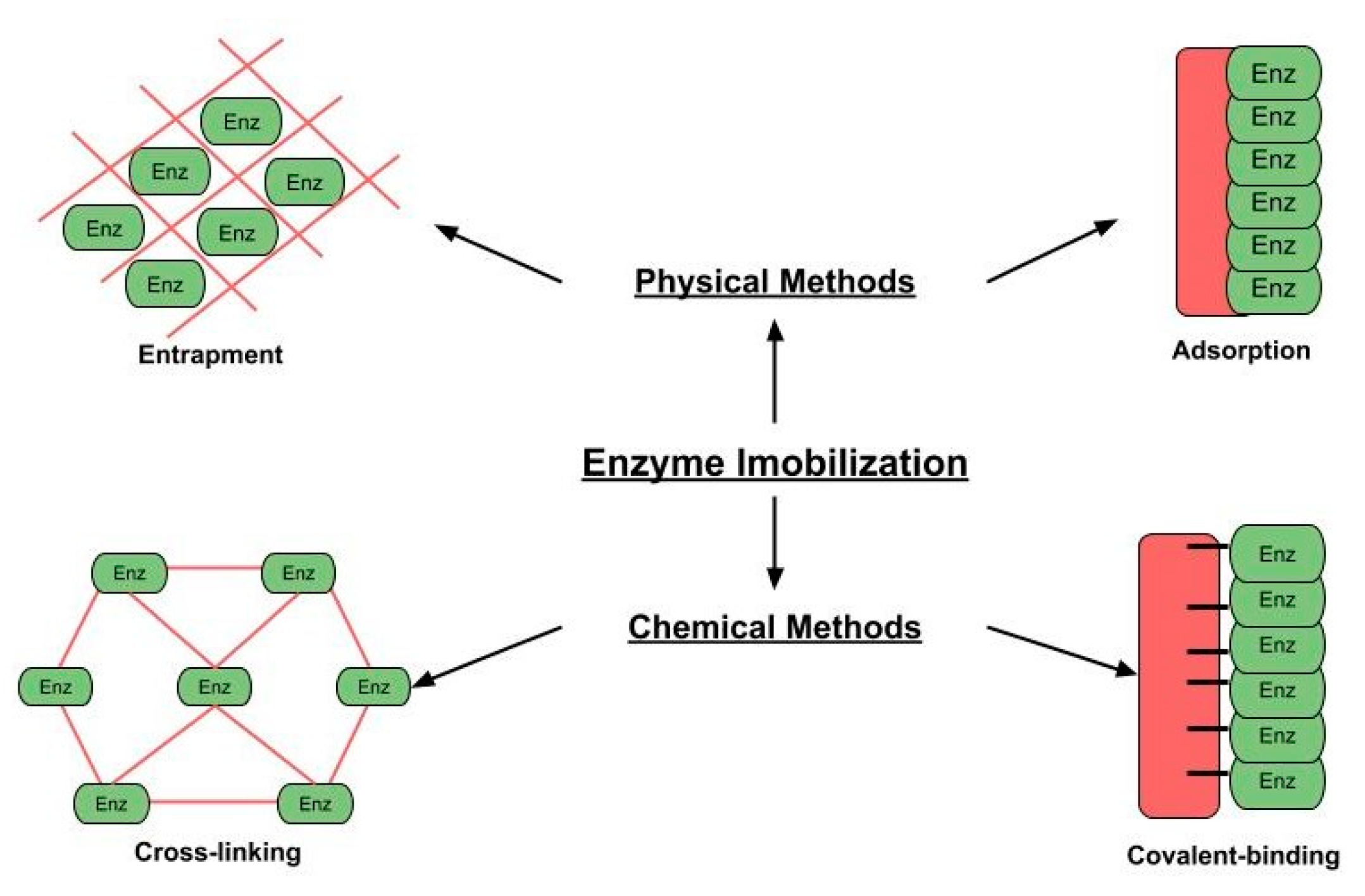 Catalysts 10 01032 g003 Catalysts 10 01032 g003