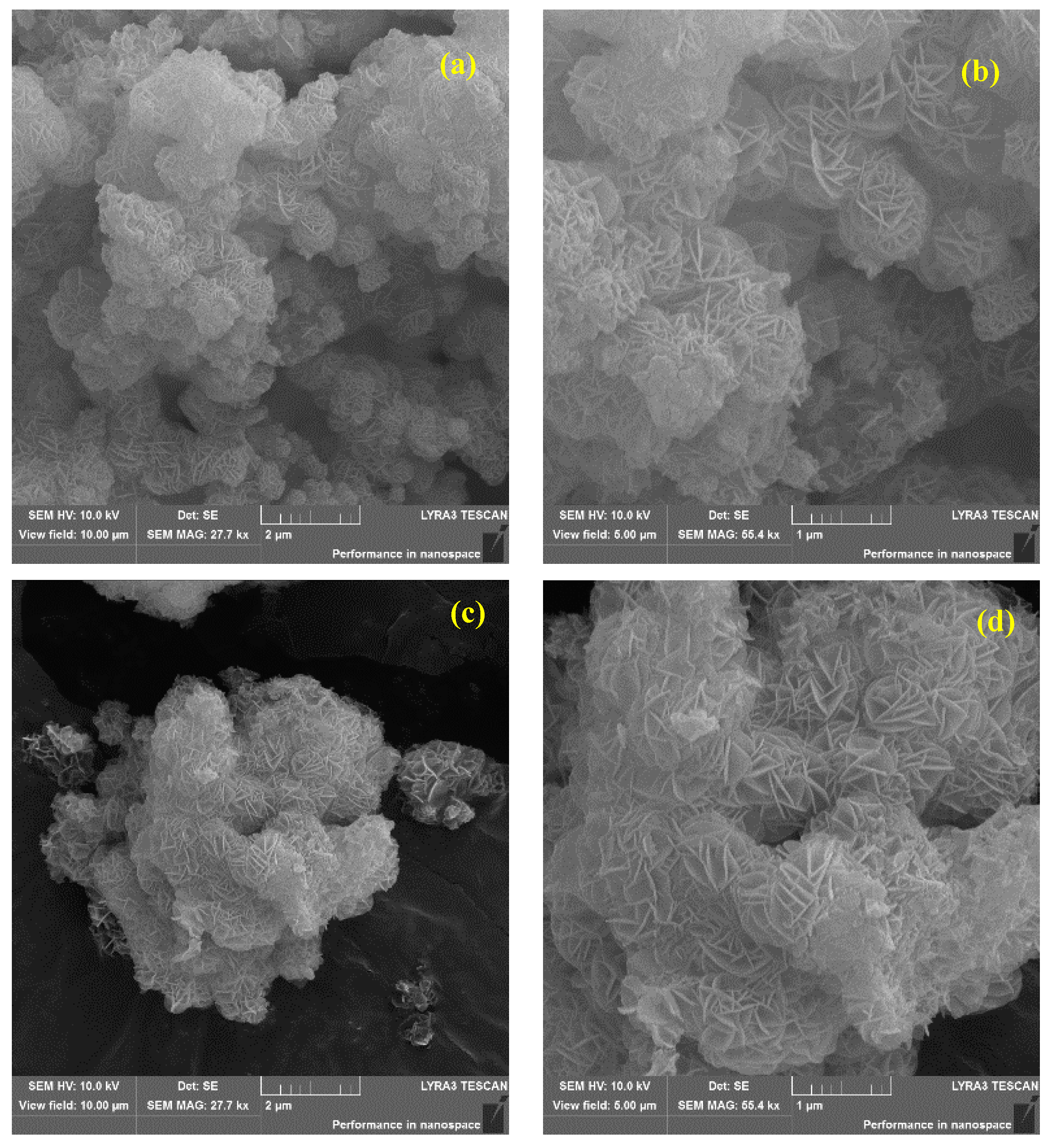 Catalysts 10 01033 g002