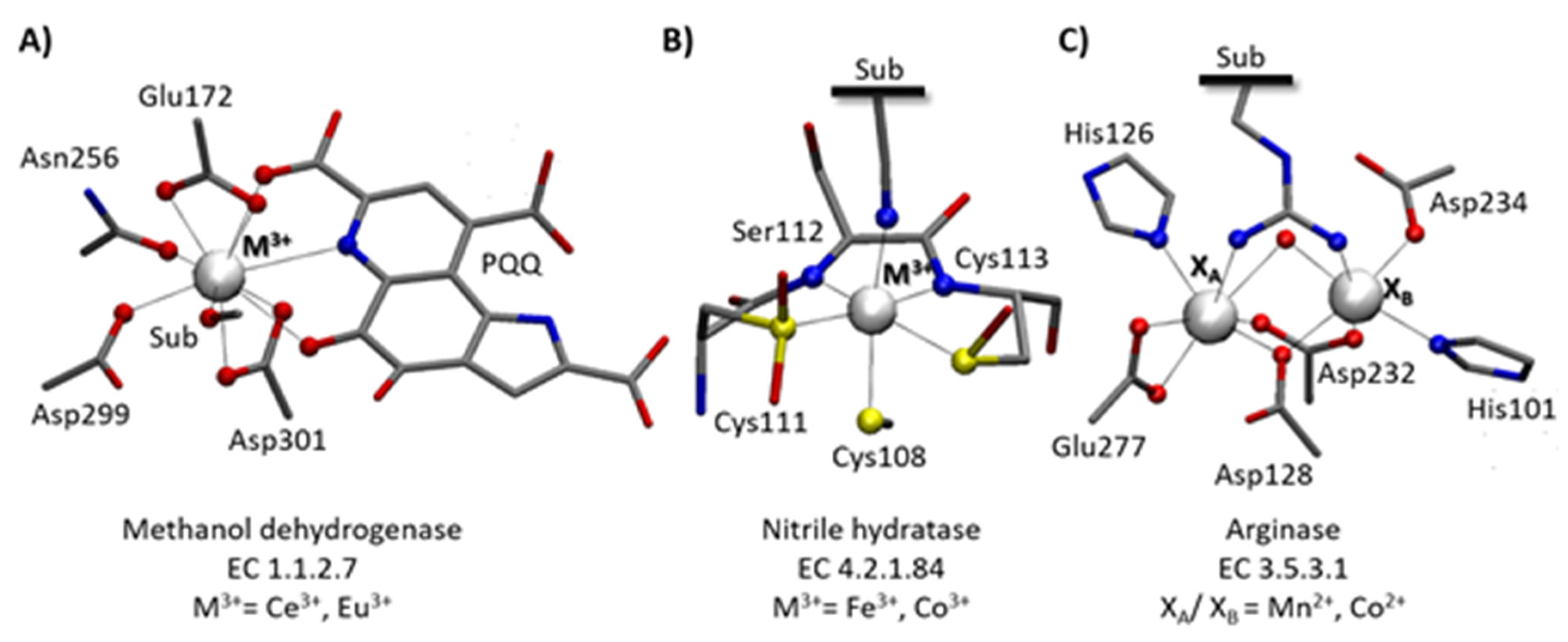 Catalysts 10 01038 g001 Catalysts 10 01038 g001