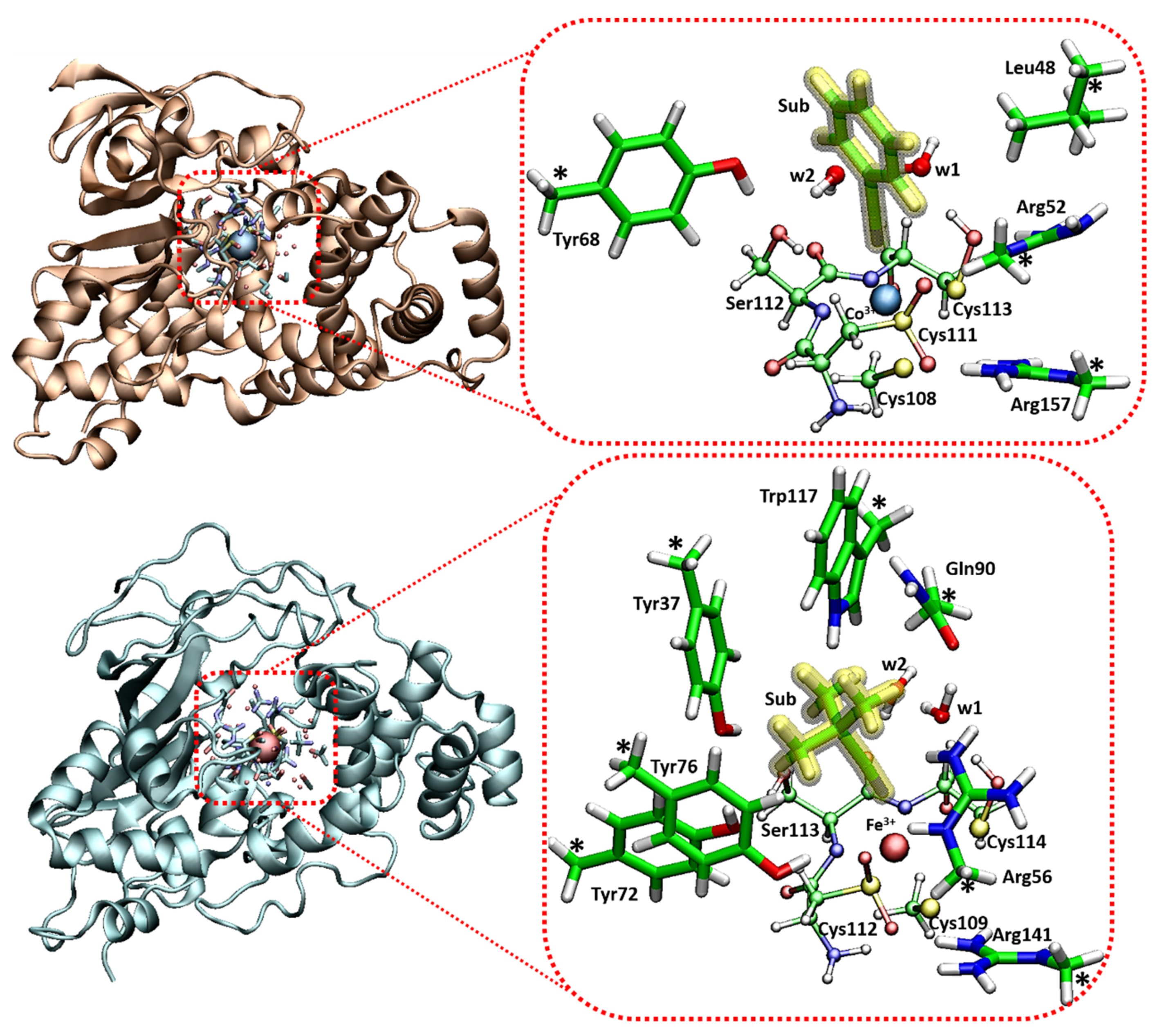 Catalysts 10 01038 g005 Catalysts 10 01038 g005