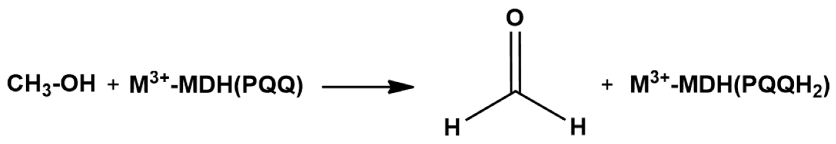 Catalysts 10 01038 sch001 Catalysts 10 01038 sch001
