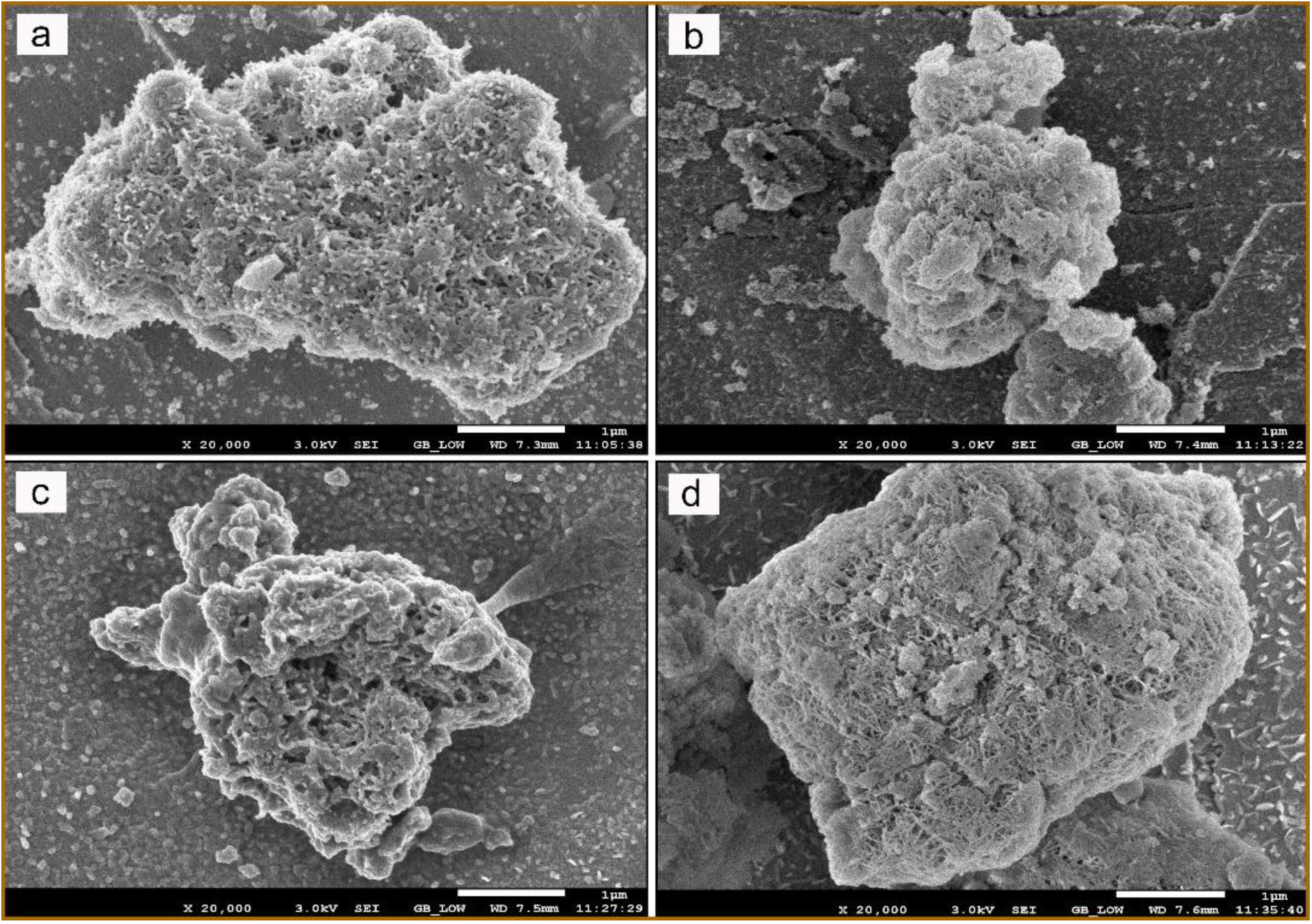 Catalysts 10 01042 g003 Catalysts 10 01042 g003