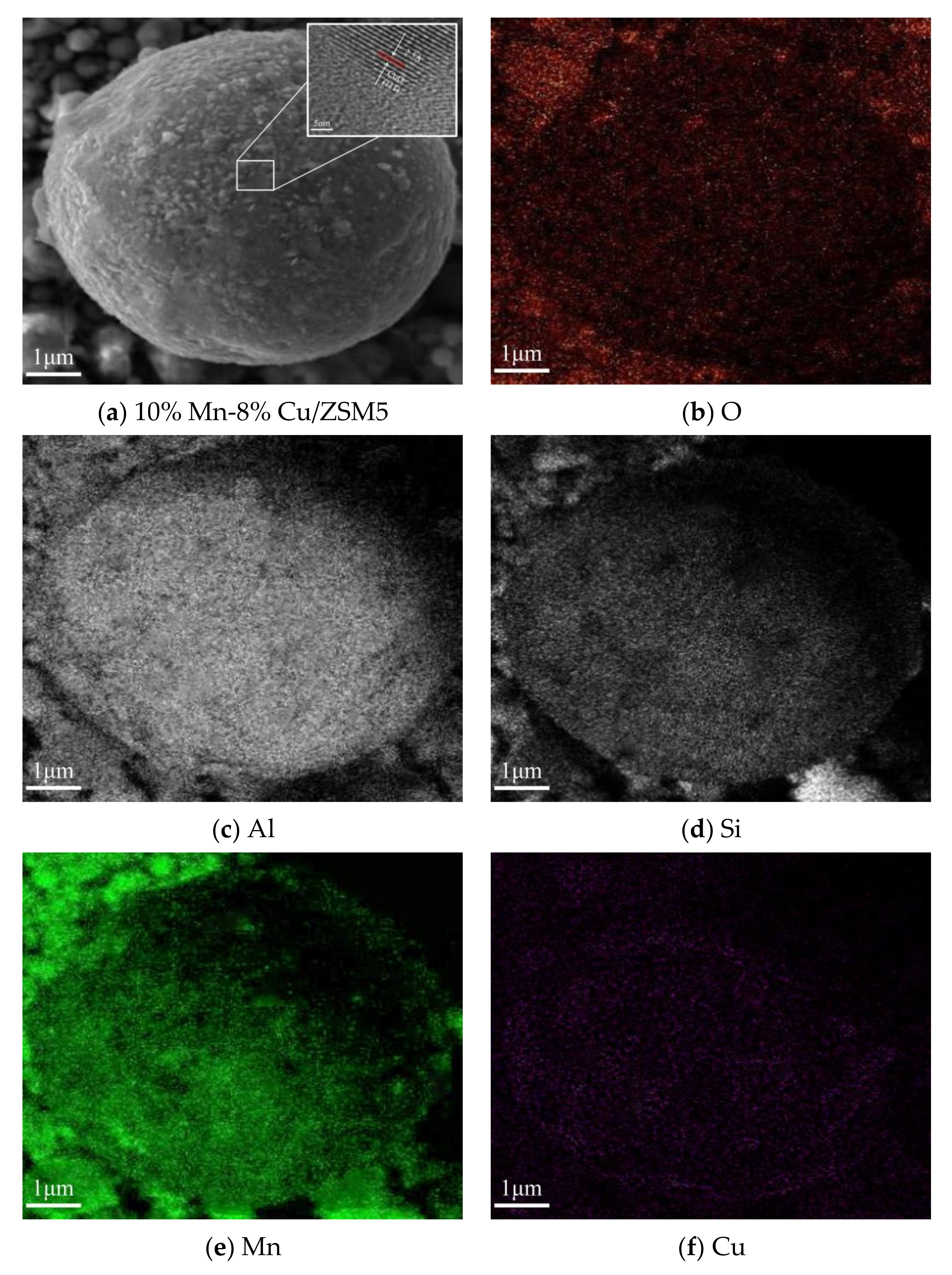 Catalysts 10 01044 g001 Catalysts 10 01044 g001