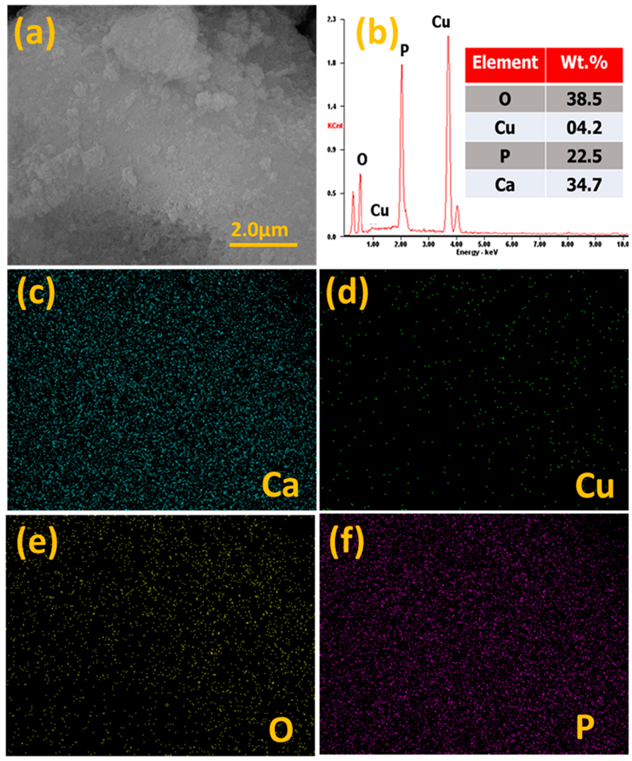 Catalysts 10 01045 g006 Catalysts 10 01045 g006