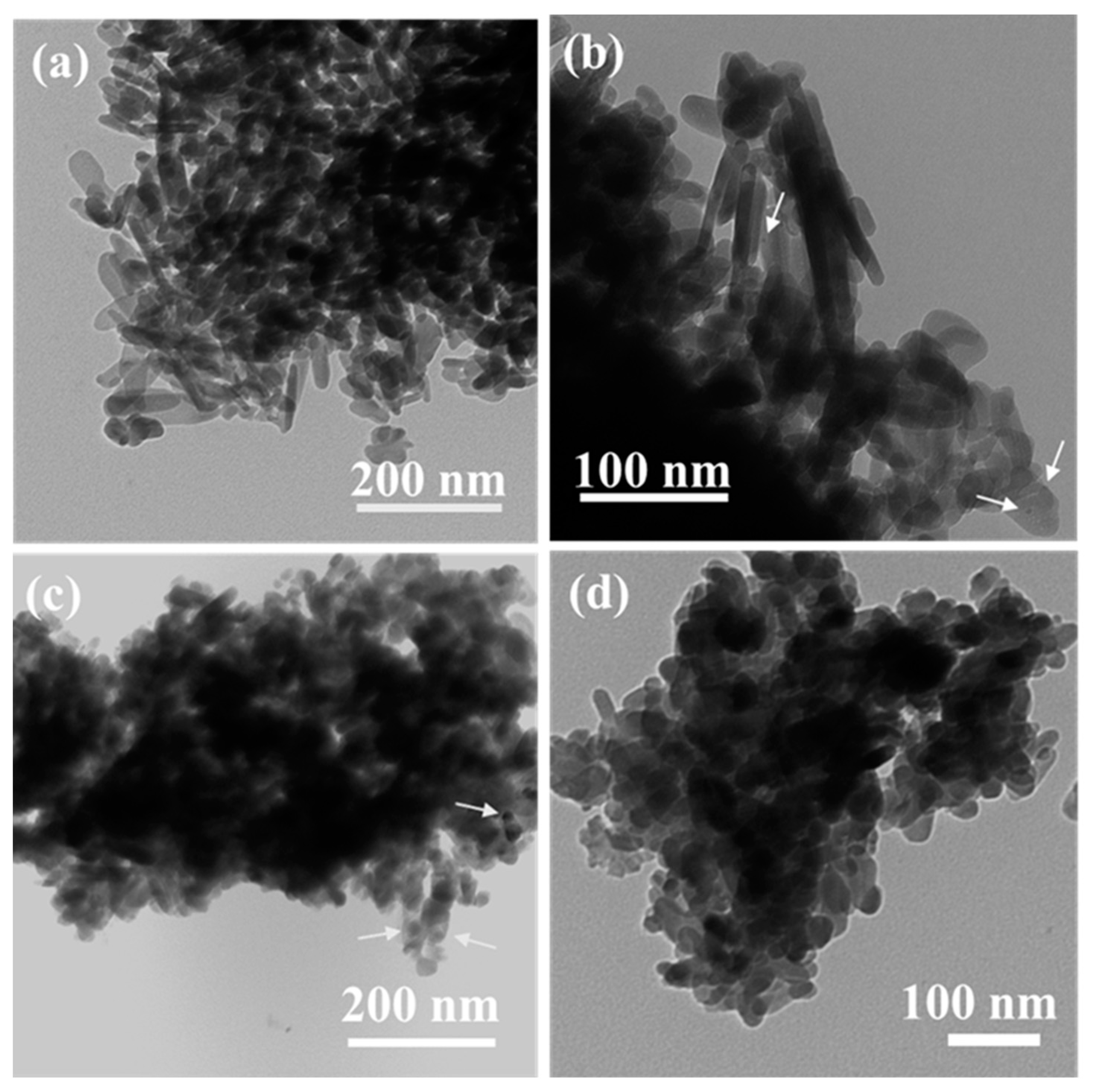 Catalysts 10 01045 g007 Catalysts 10 01045 g007