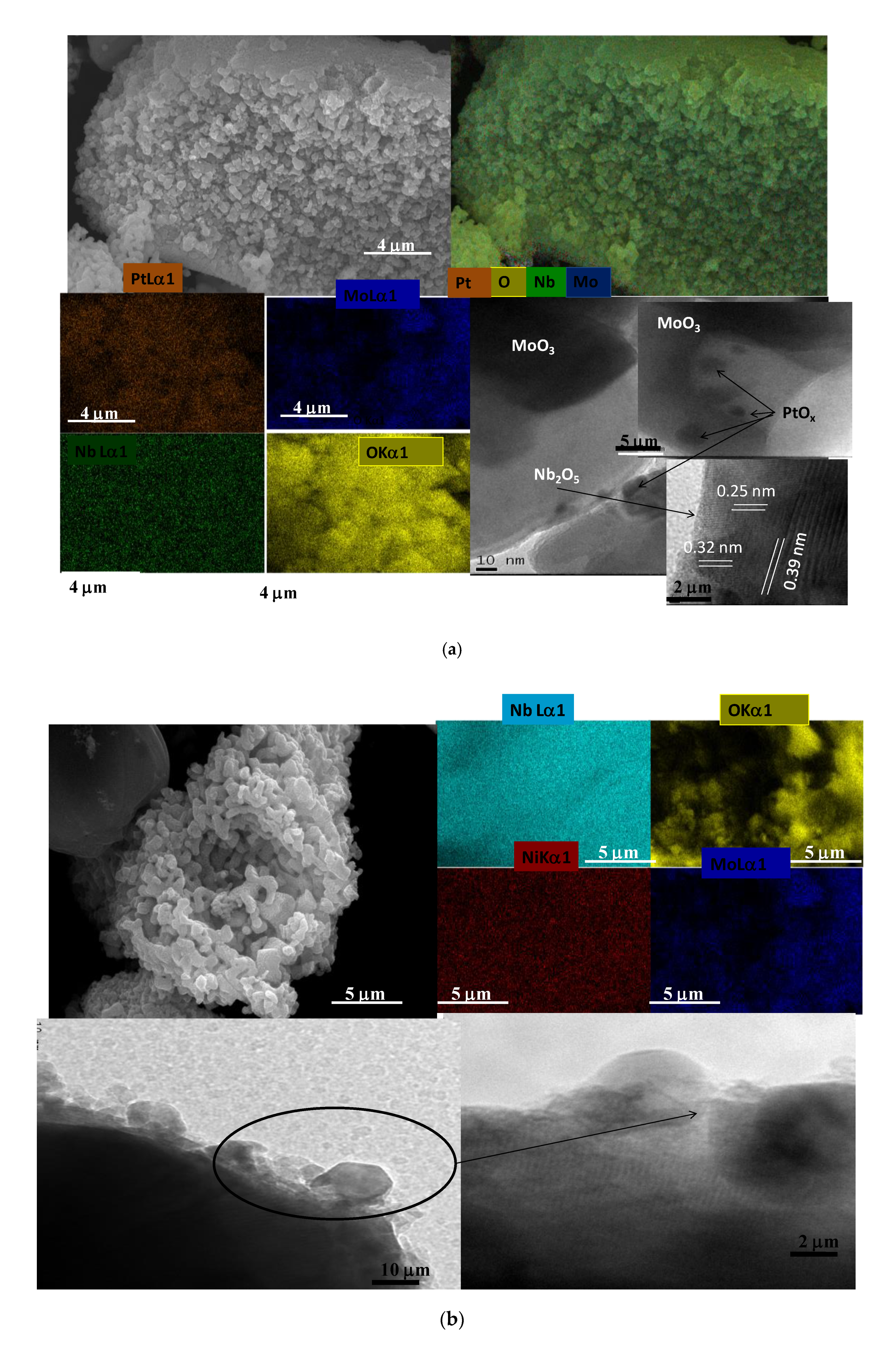Catalysts 10 01048 g004a Catalysts 10 01048 g004a