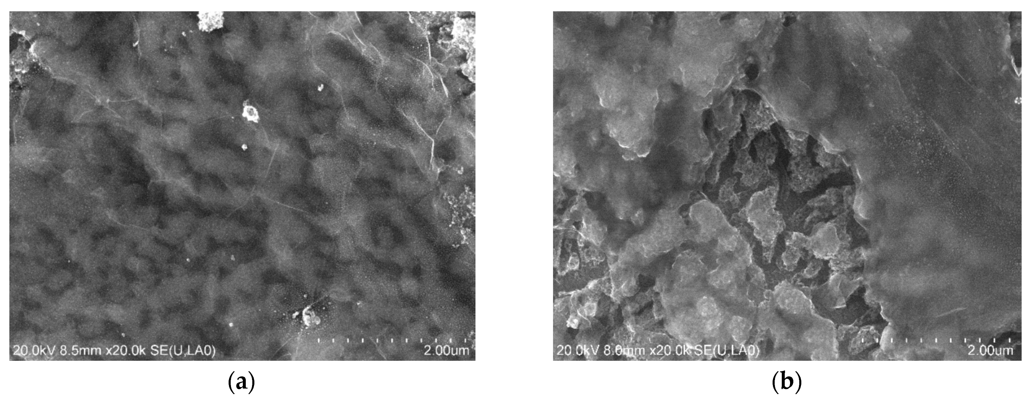 Catalysts 10 01050 g007