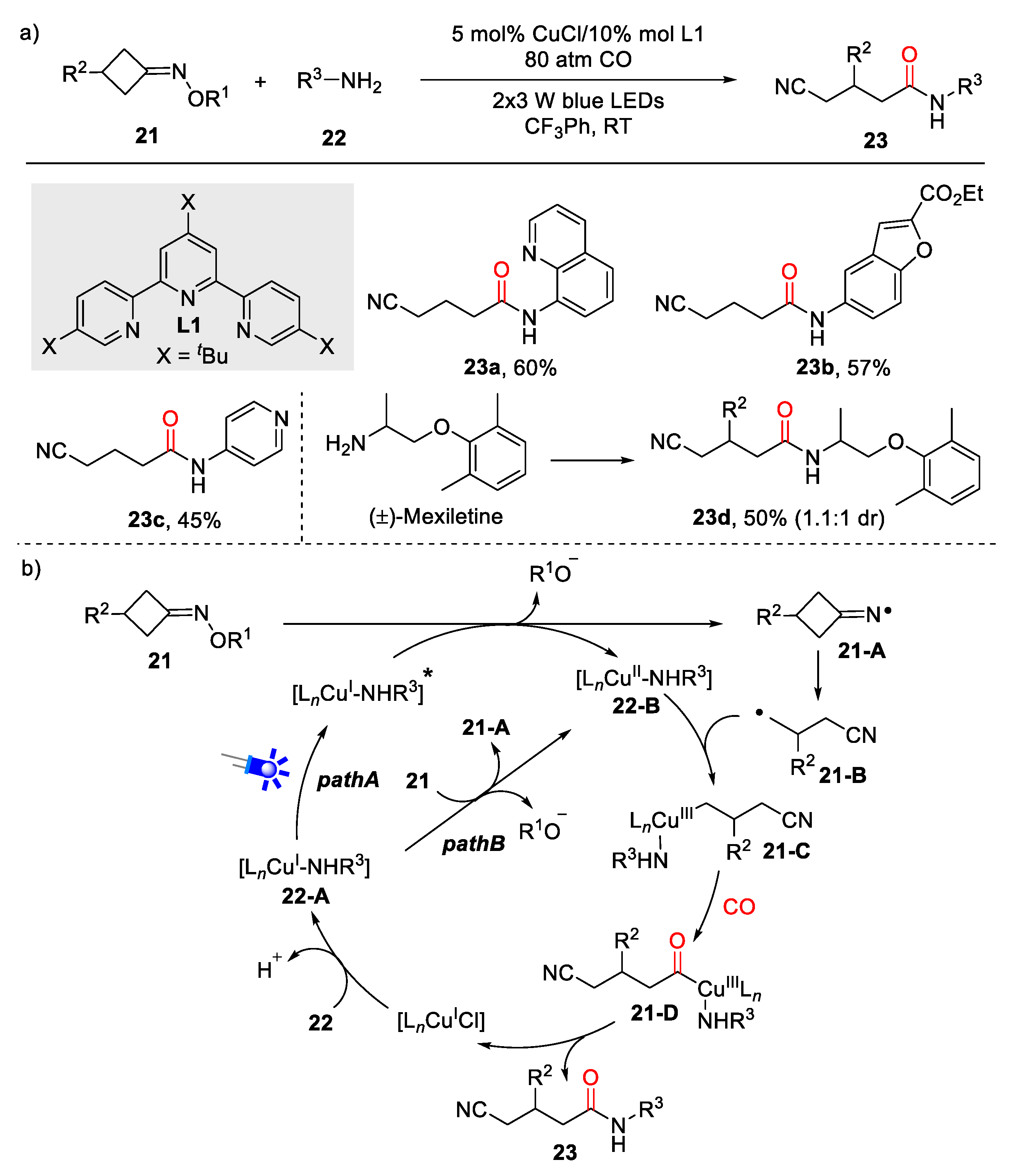 Catalysts 10 01054 sch006 Catalysts 10 01054 sch006