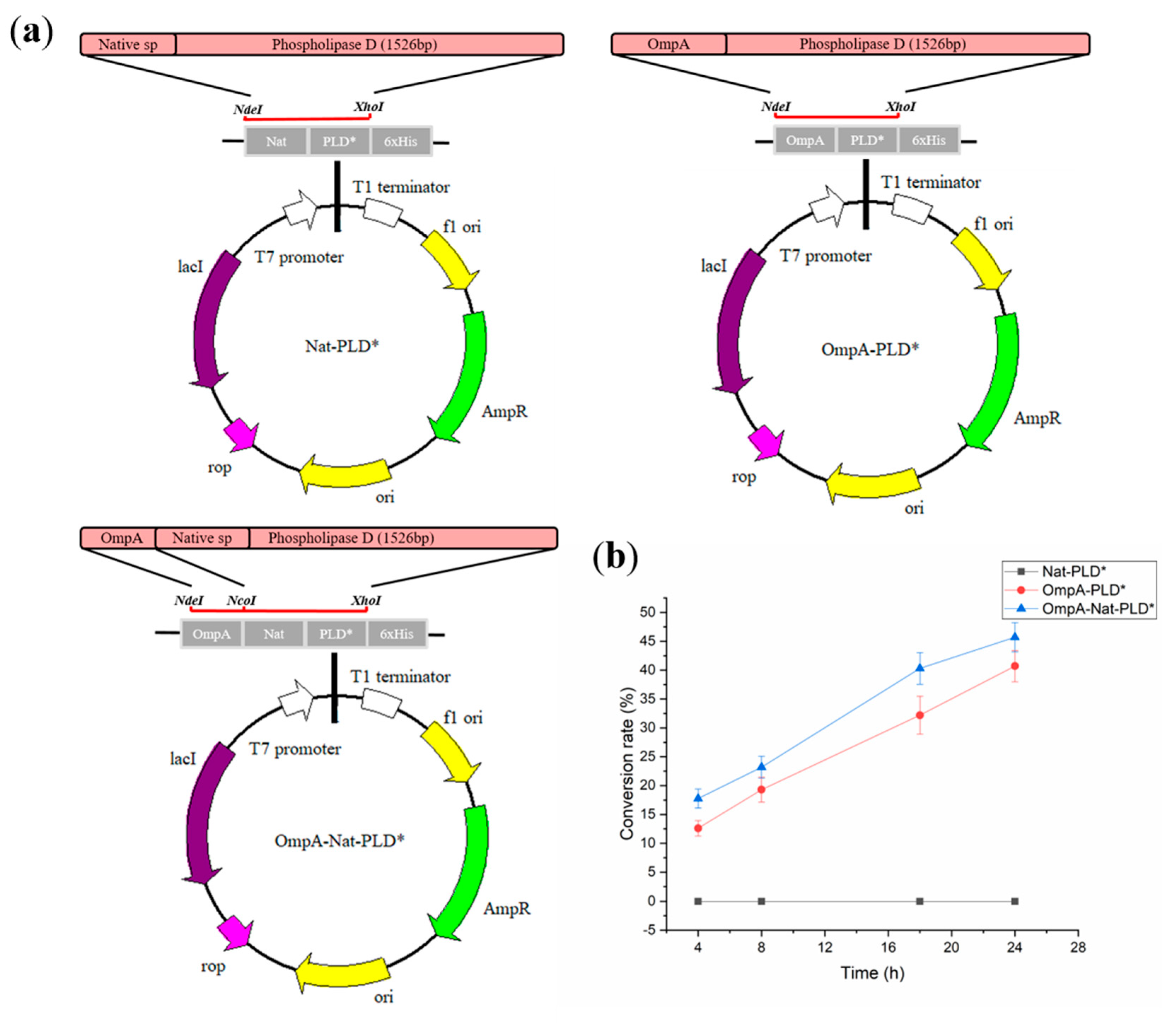 Catalysts 10 01057 g002 Catalysts 10 01057 g002