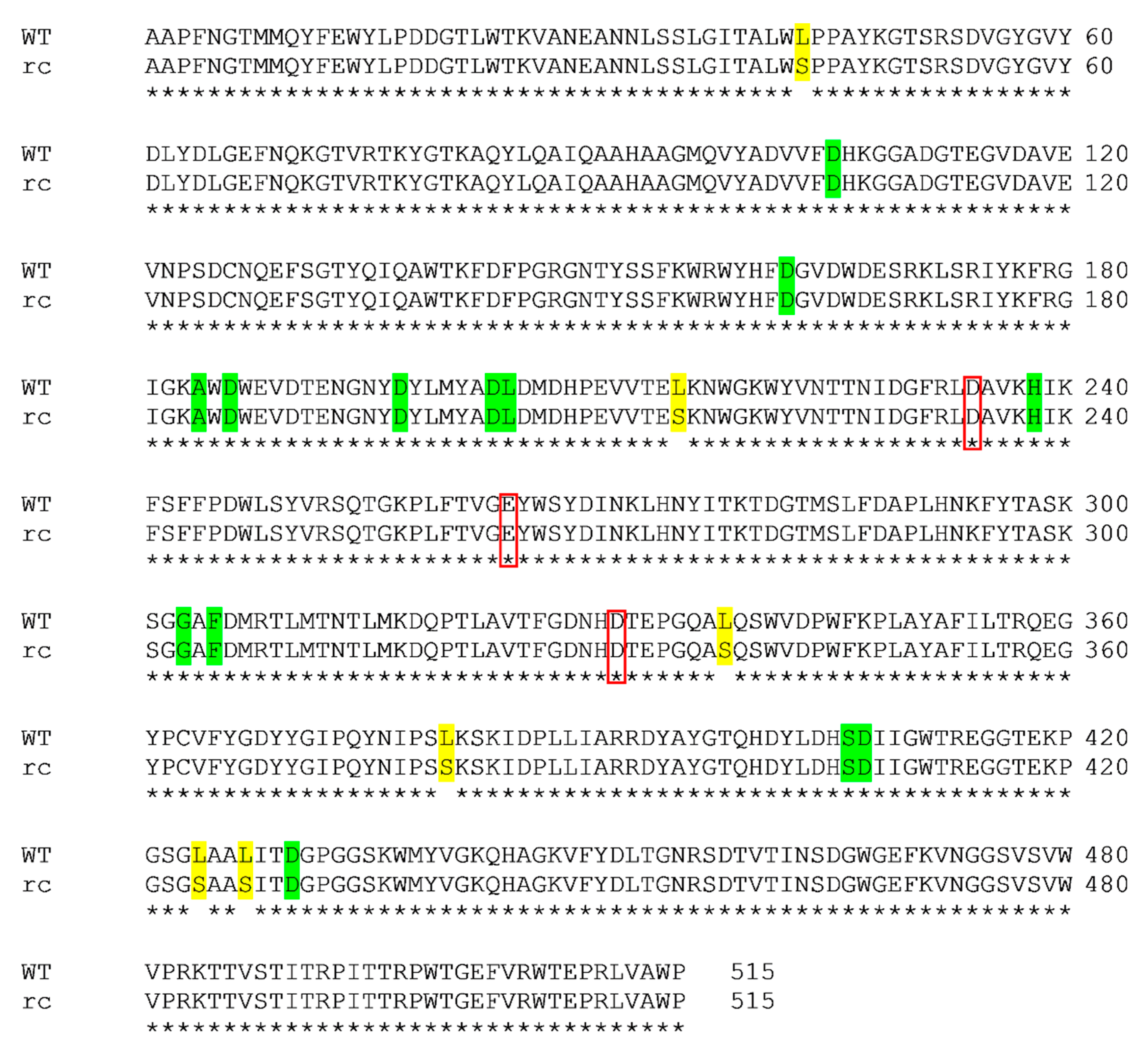 Catalysts 10 01059 g001