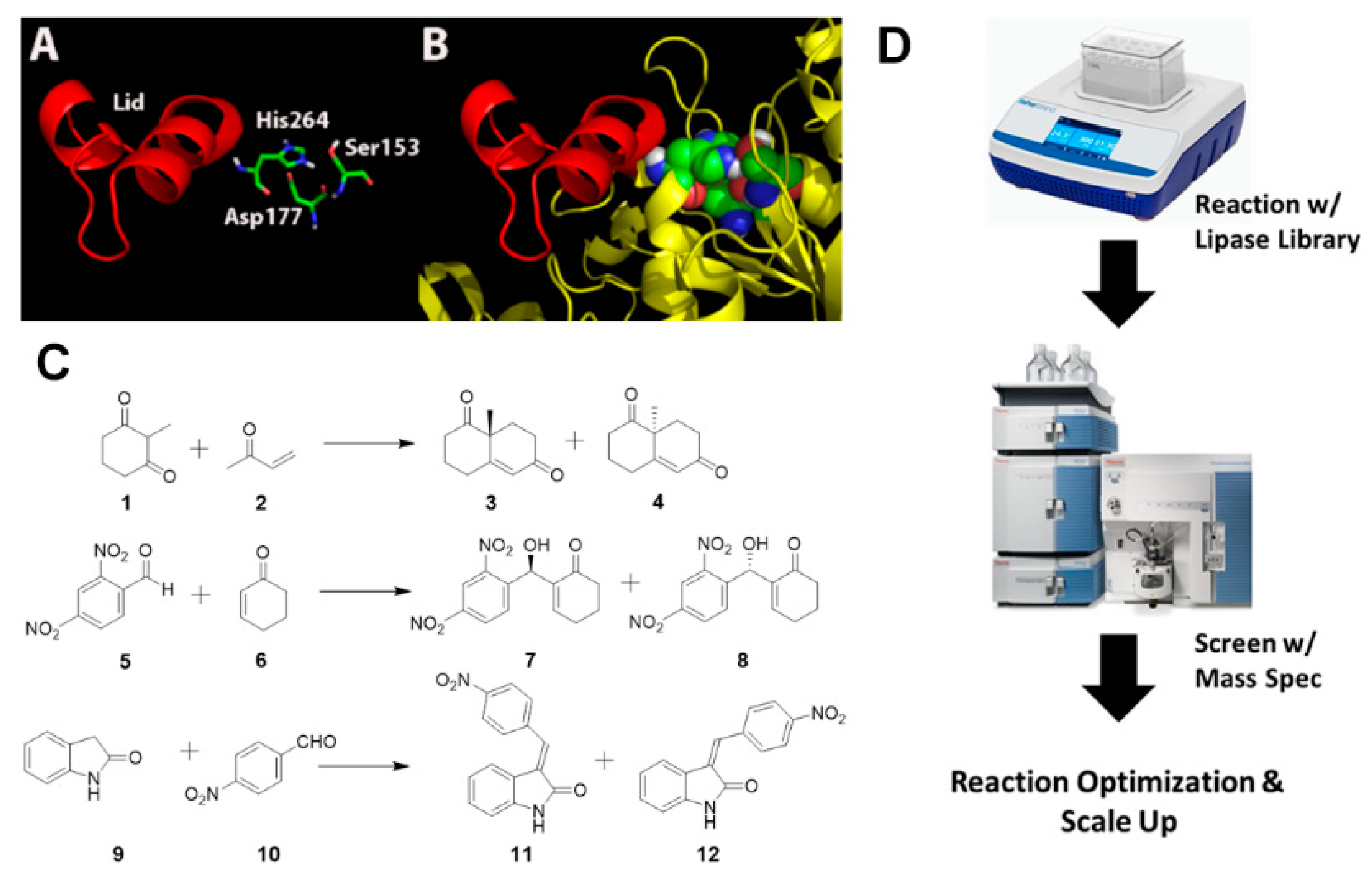 Catalysts 10 01063 g001 550