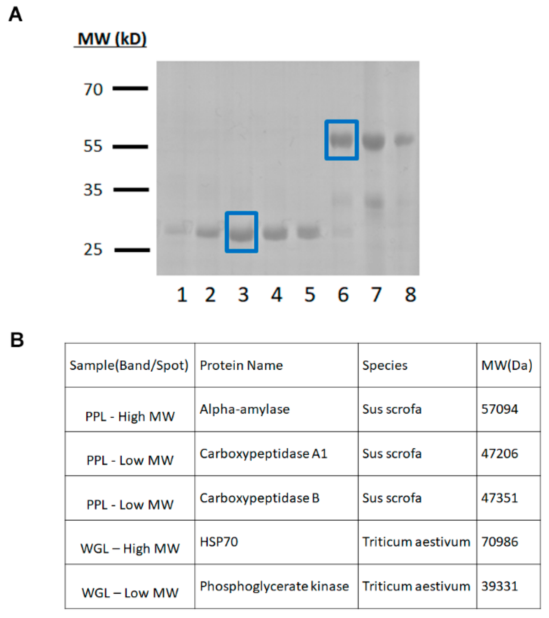 Catalysts 10 01063 g005 550