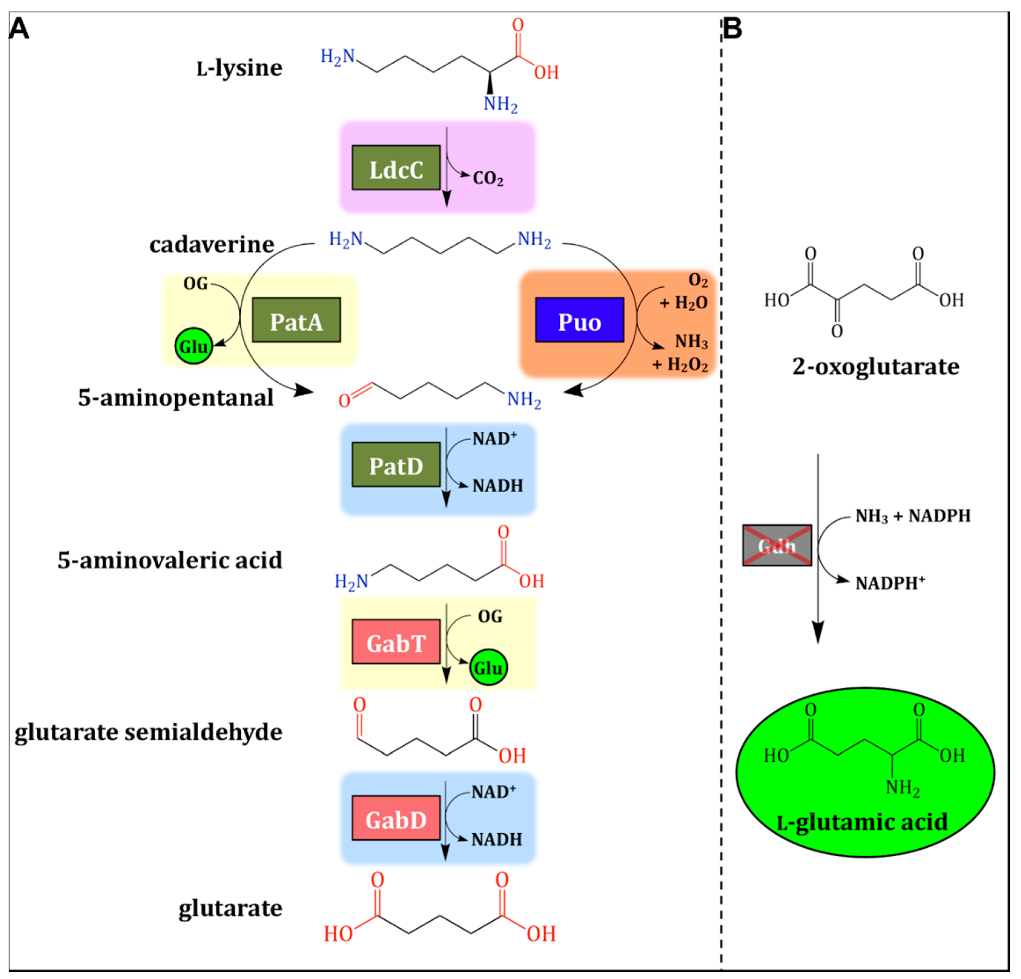 Catalysts 10 01065 g001