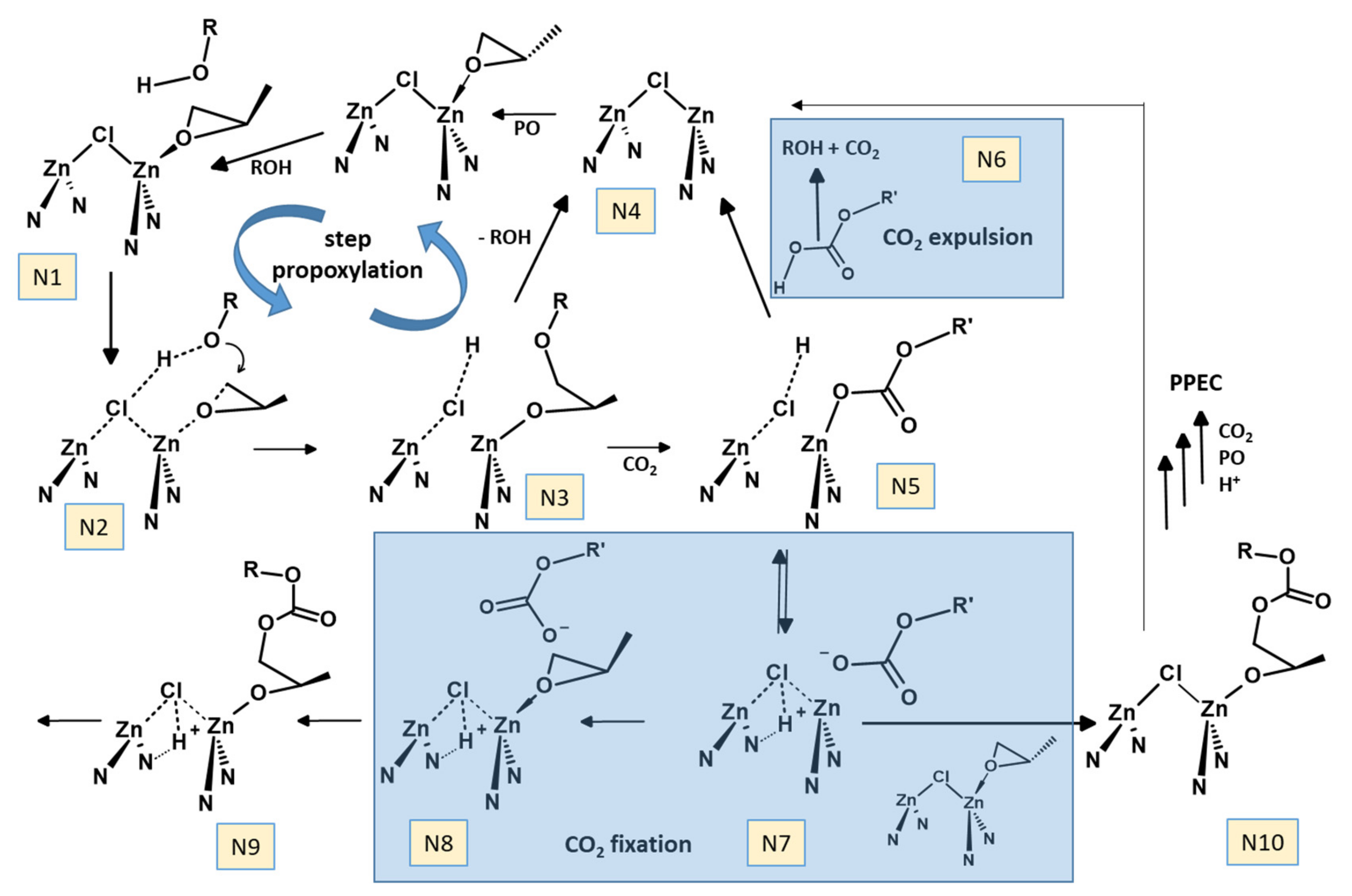 Catalysts 10 01066 sch005 Catalysts 10 01066 sch005