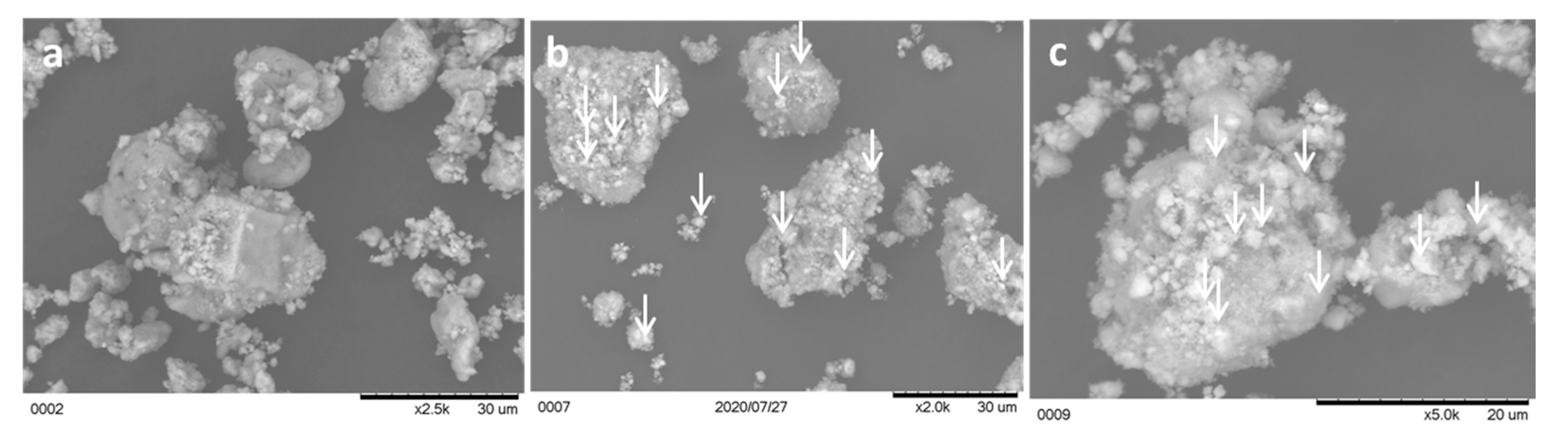 Catalysts 10 01071 g006 Catalysts 10 01071 g006