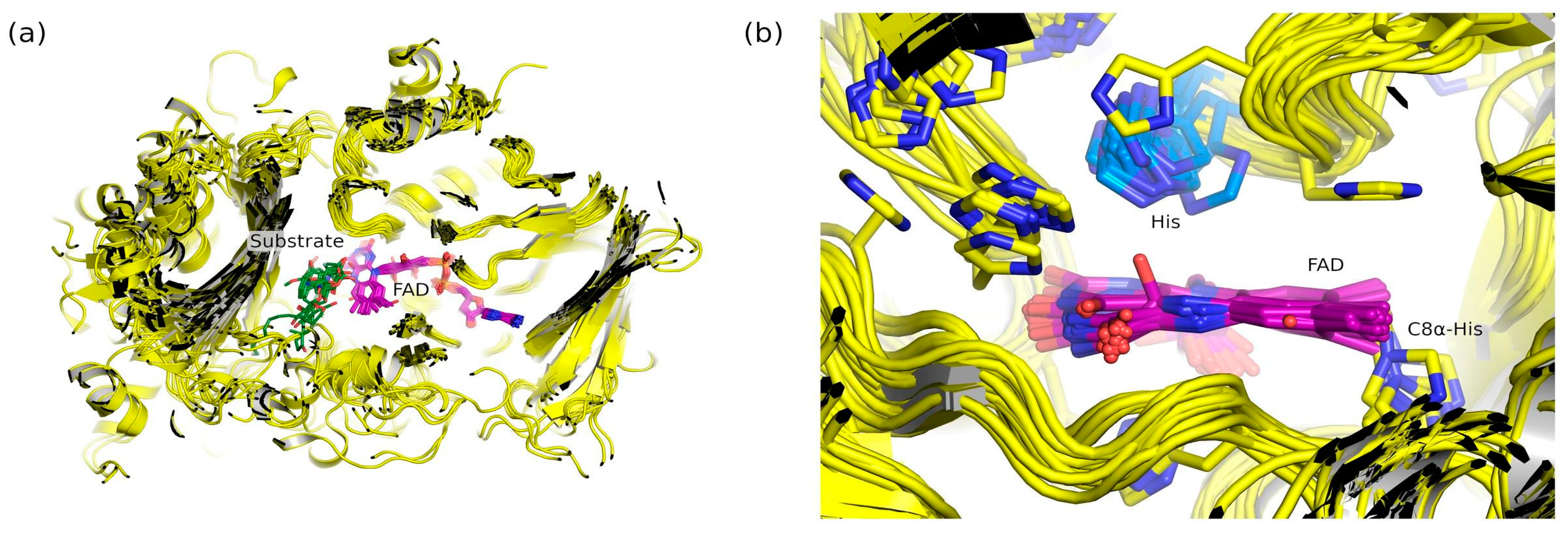 Catalysts 10 01072 g002