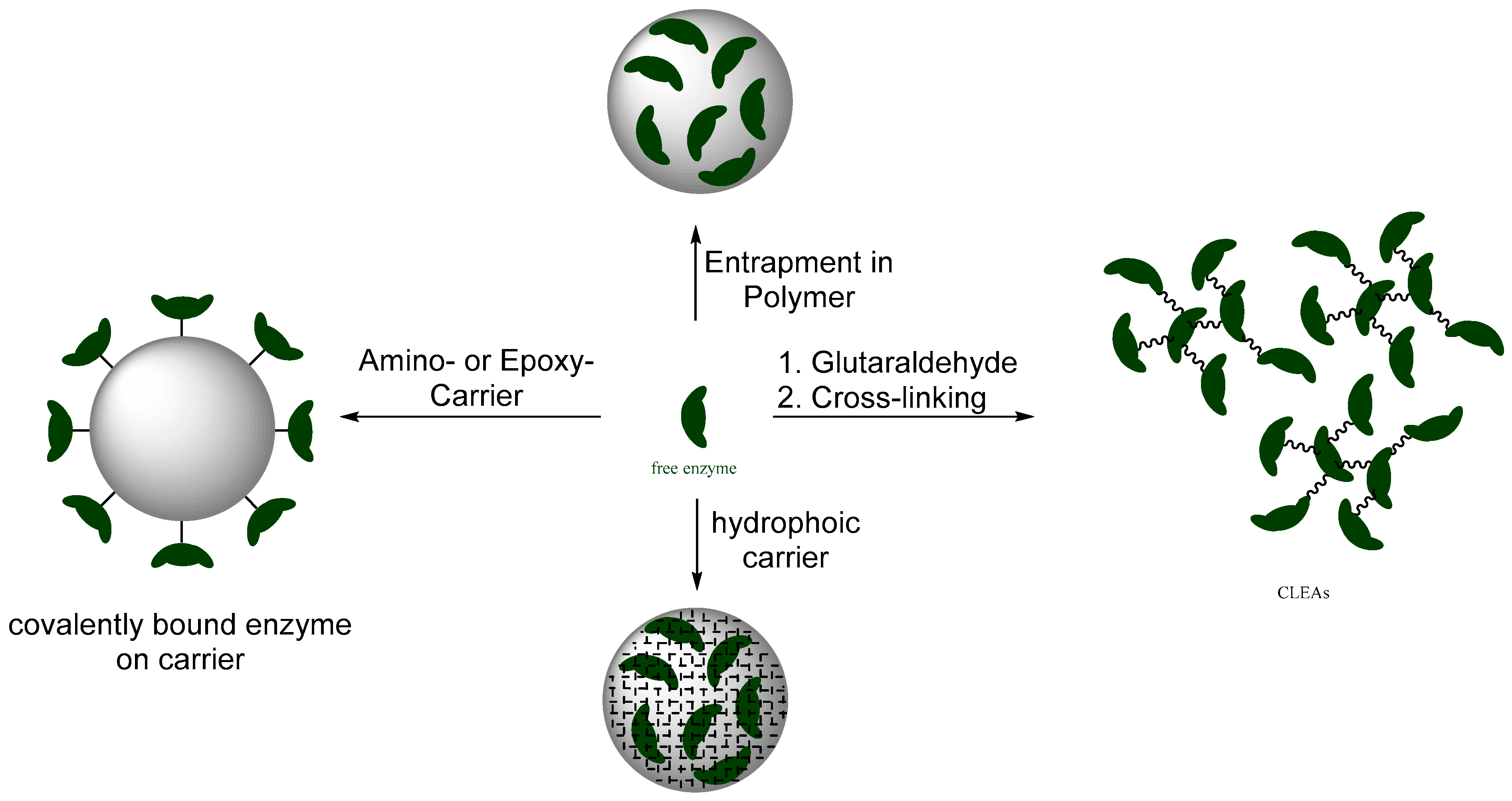 Catalysts 10 01073 sch001