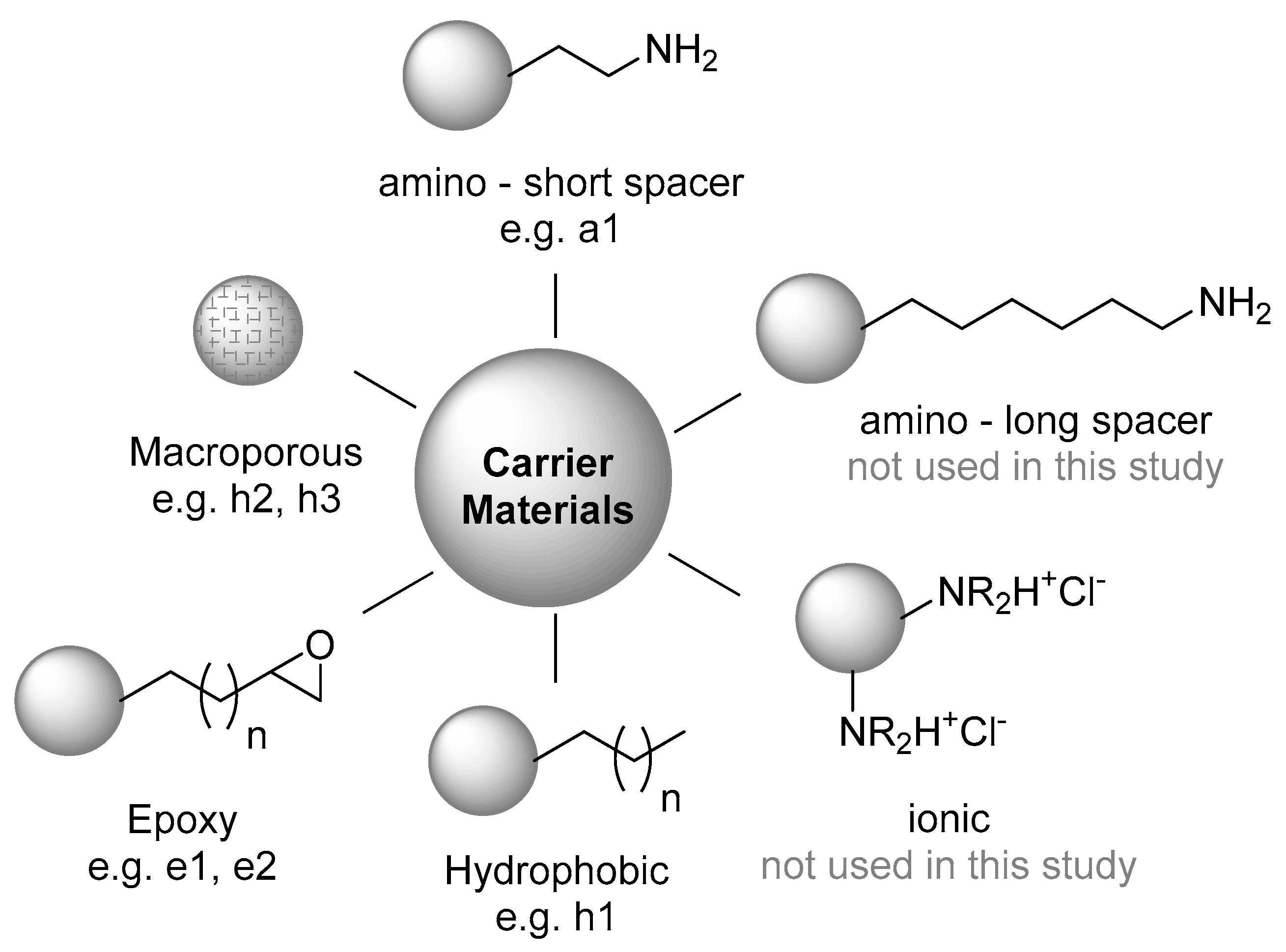 Catalysts 10 01073 sch002