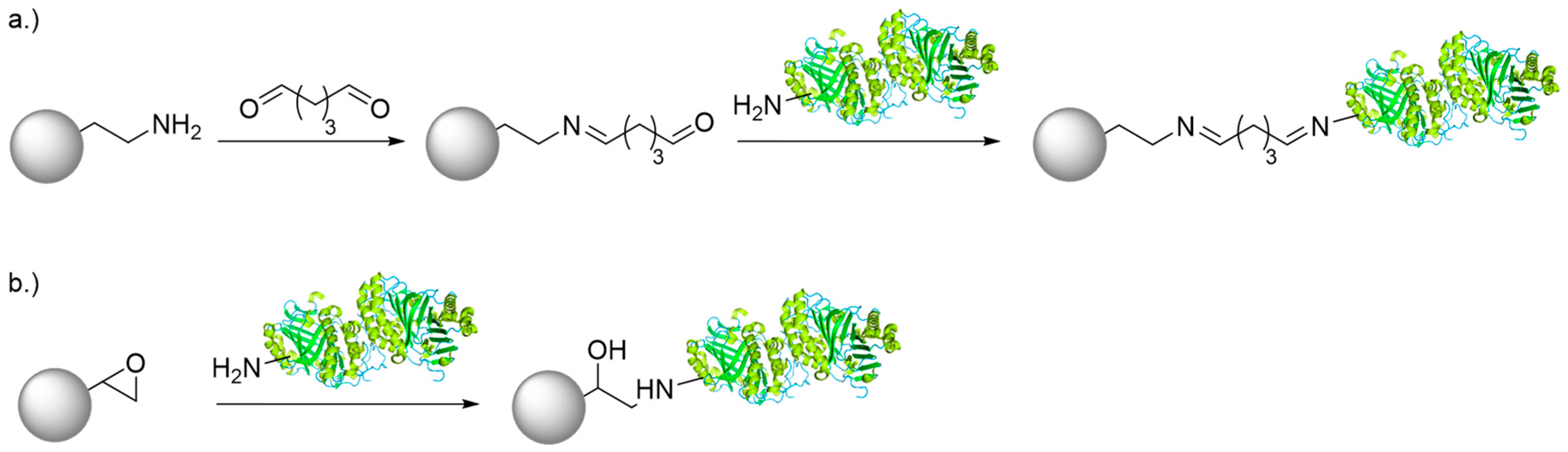 Catalysts 10 01073 sch003